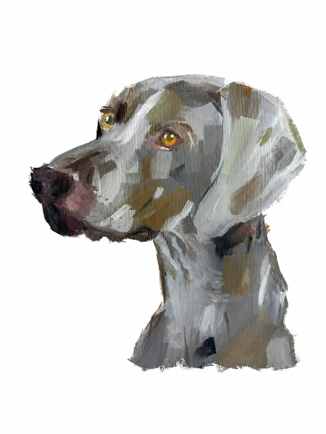 134DF356-16BD-4A19-9BDD-405A01FDC920.png