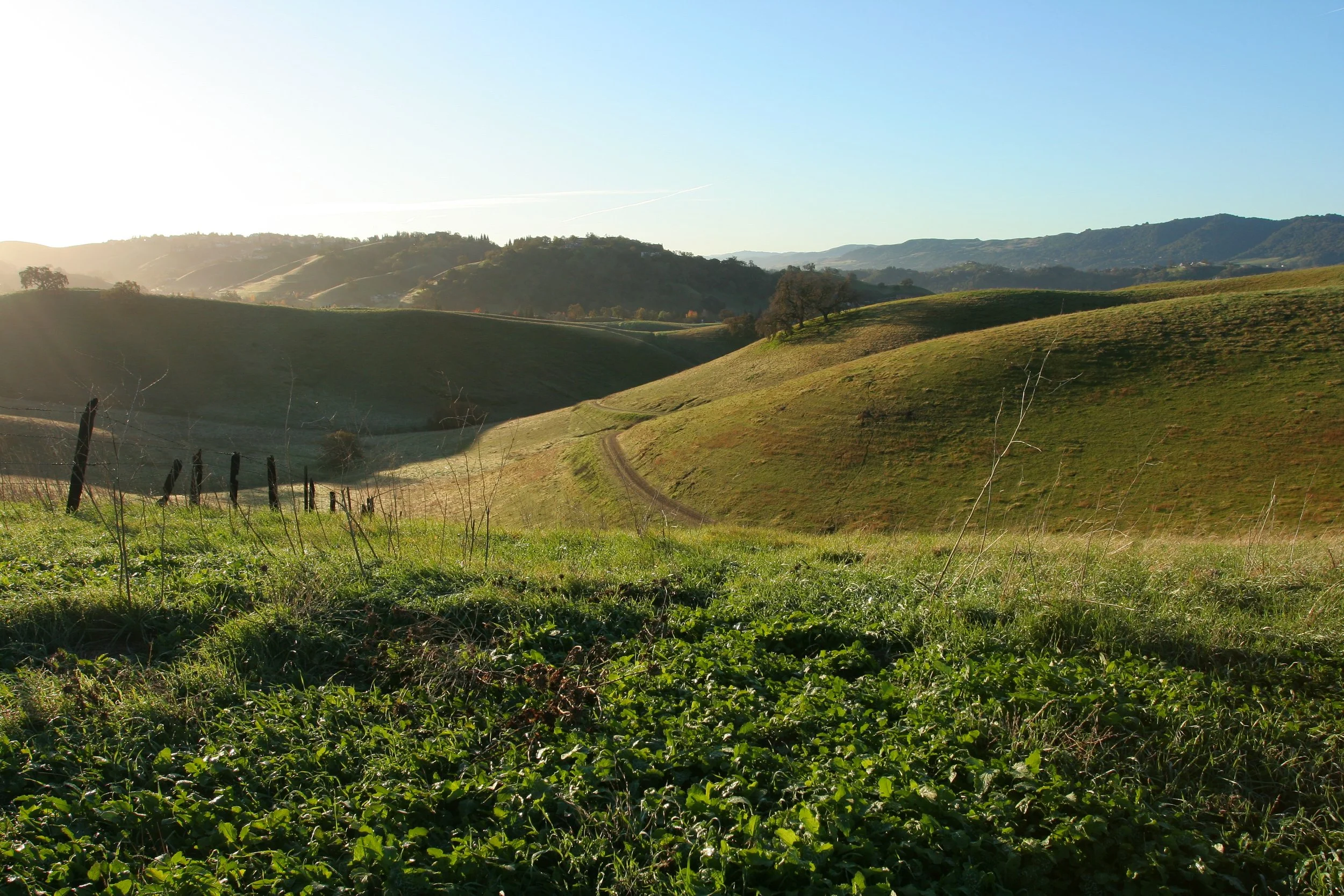 East Bay