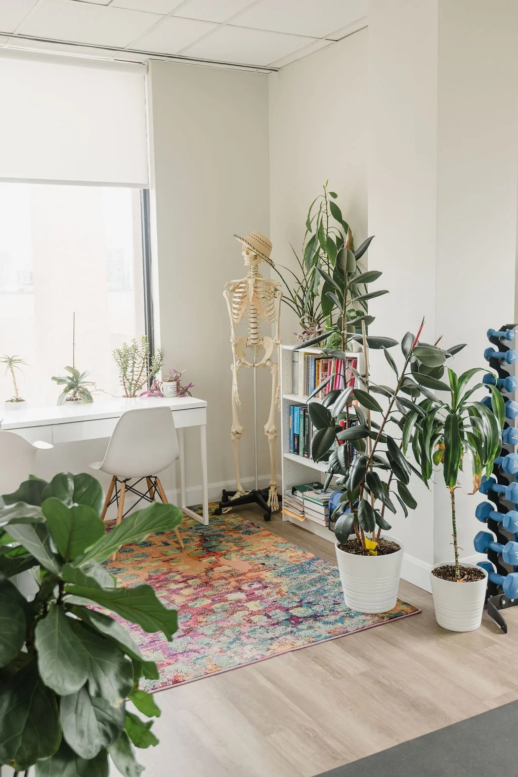 Kanchan Masand | Toronto West End Osteopathy, Physiotherapy & Pelvic Floor Physiotherapy