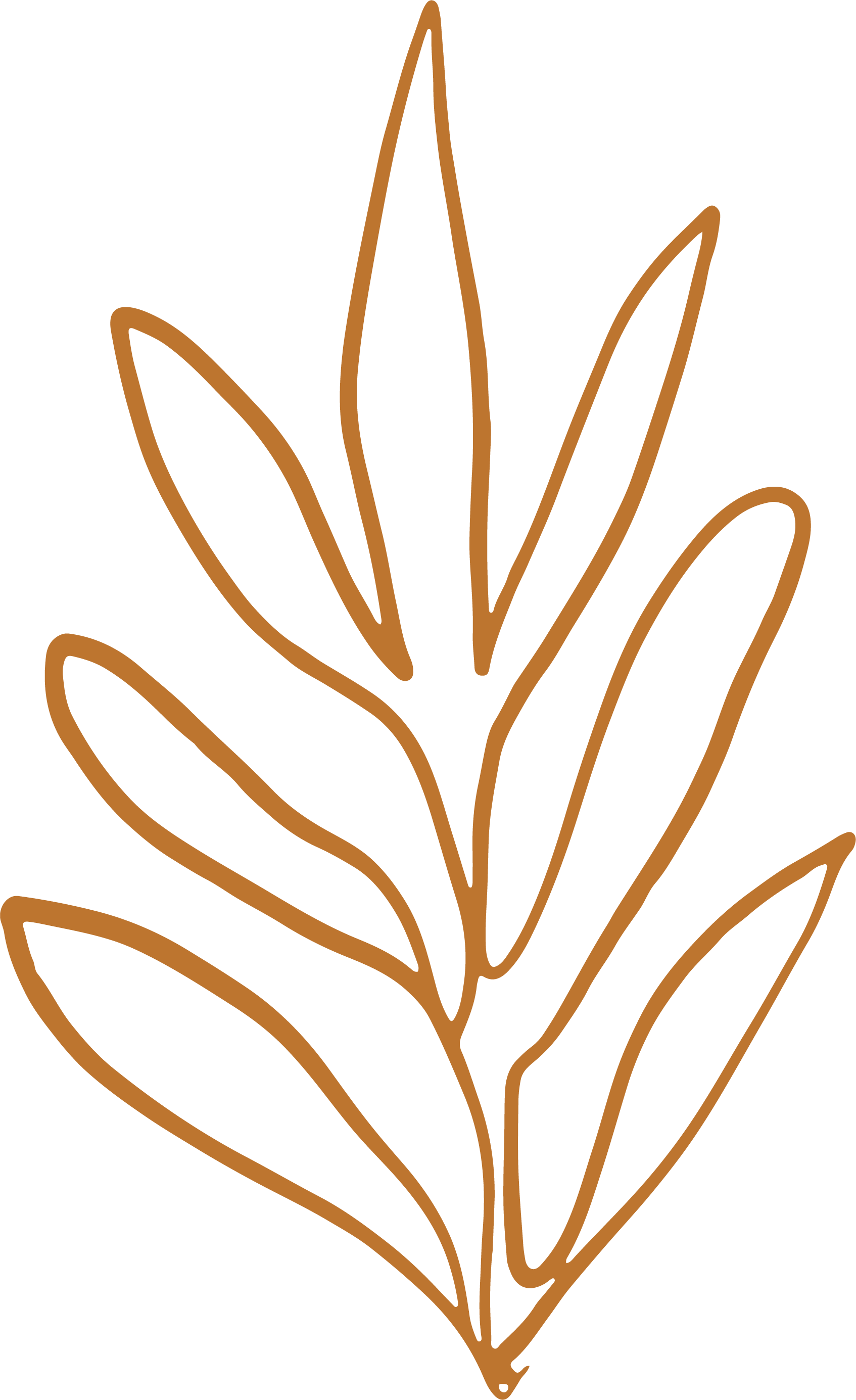 Line drawing of a stylized flower with elongated petals in brown on a black background.