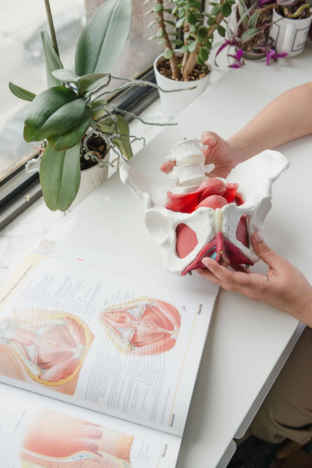 Kanchan Masand | Toronto West End Osteopathy, Physiotherapy & Pelvic Floor Physiotherapy