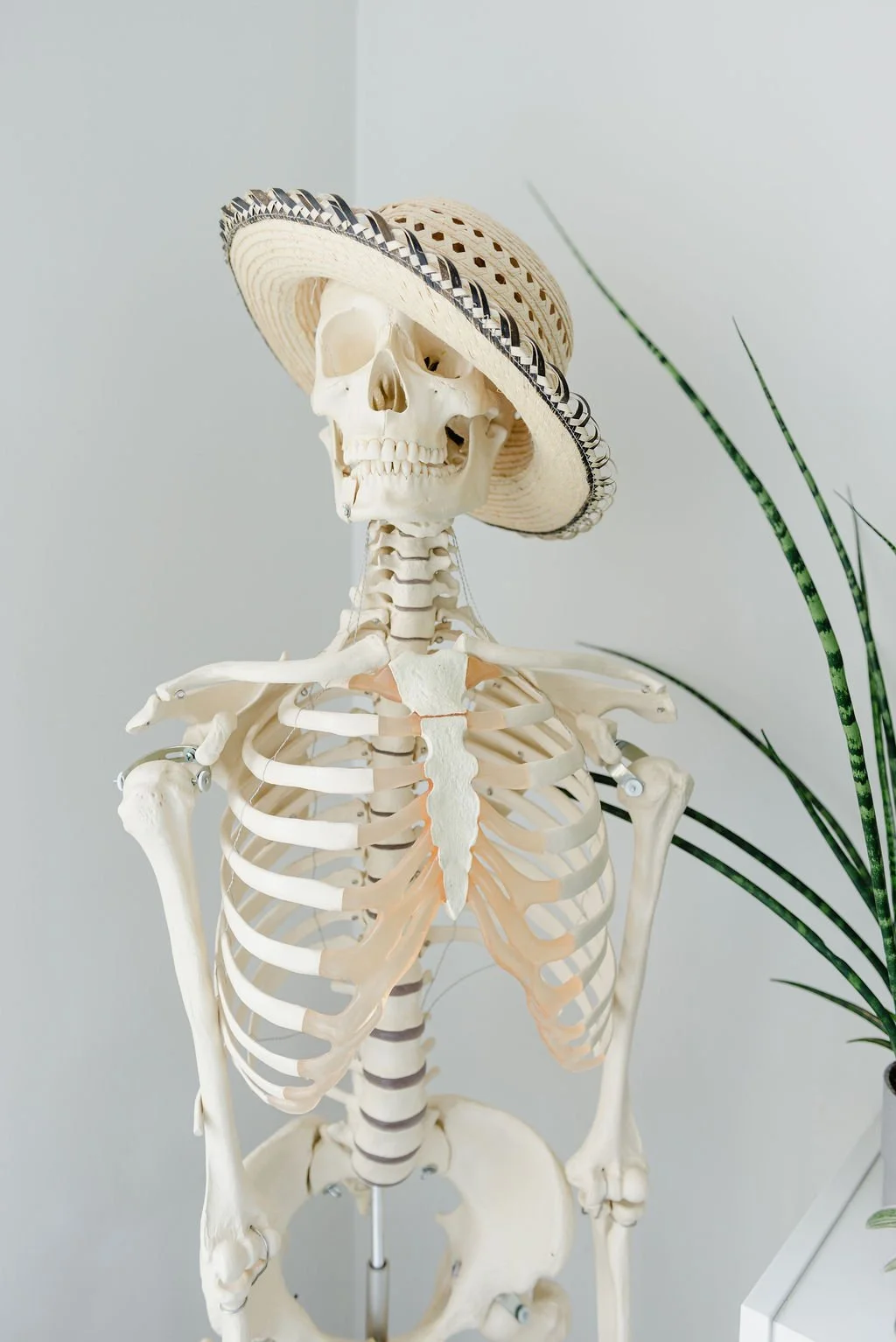 Kanchan Masand | Toronto West End Osteopathy, Physiotherapy & Pelvic Floor Physiotherapy