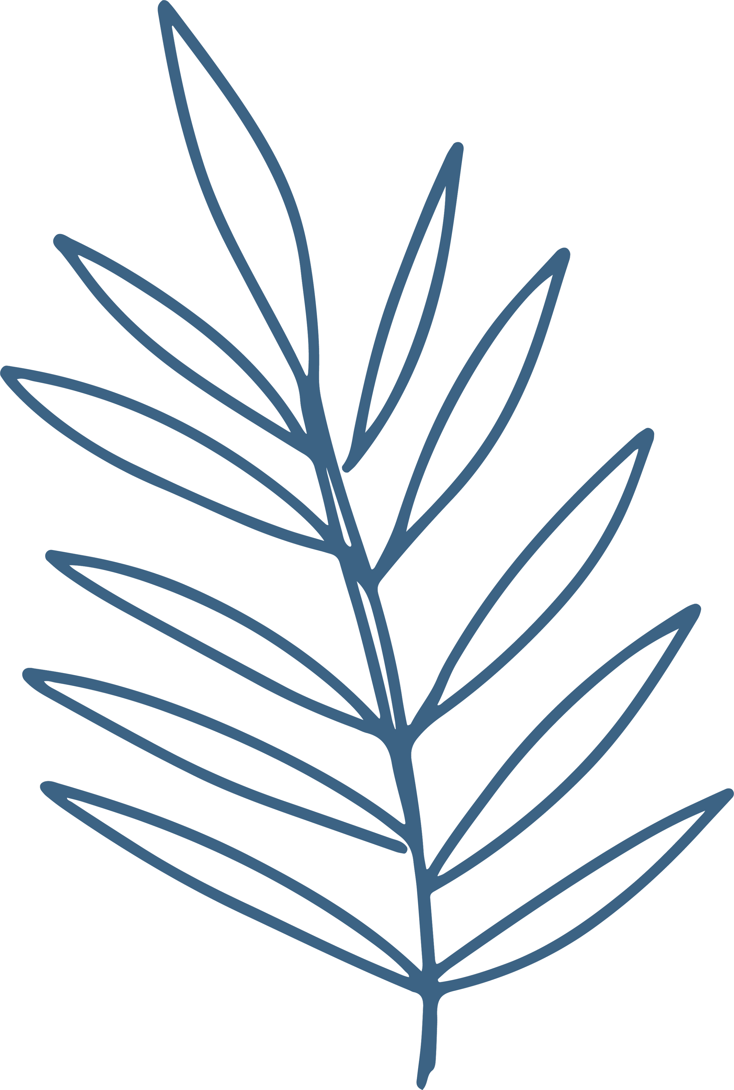 Line drawing of a leafless plant with elongated leaves, outlined in dark blue on a black background.