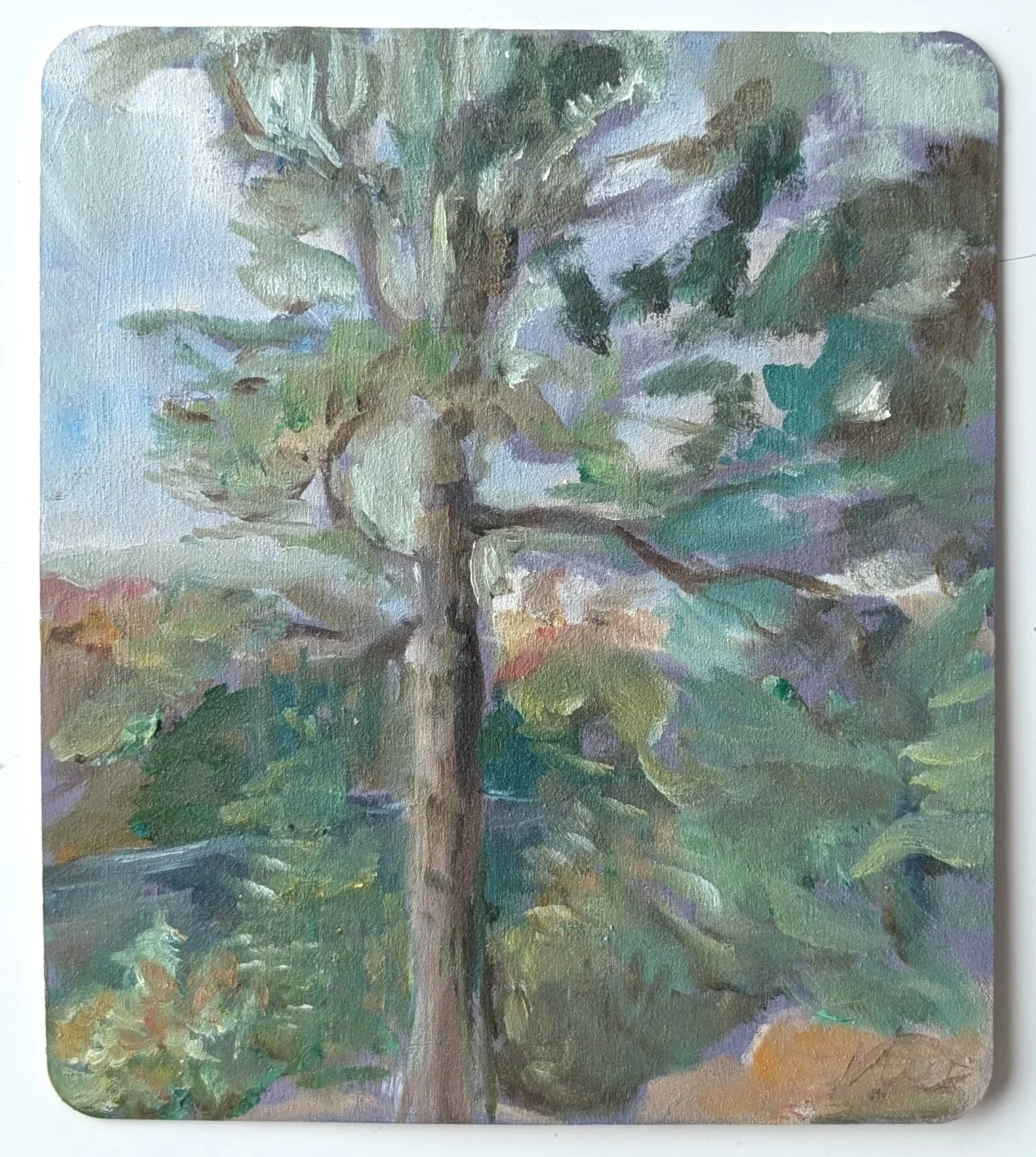 7191.jpg