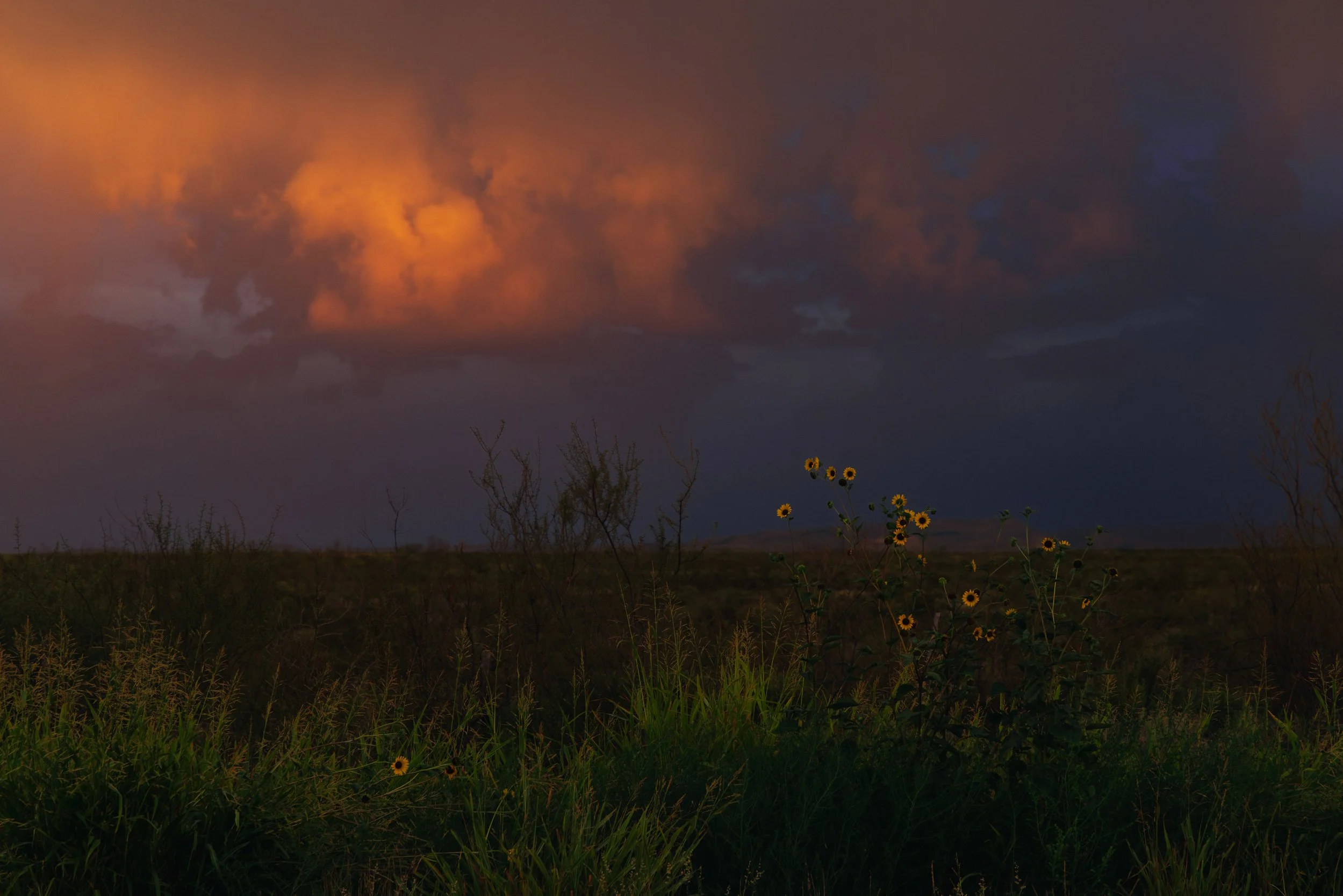 Texas_Sunset_Storm.jpg