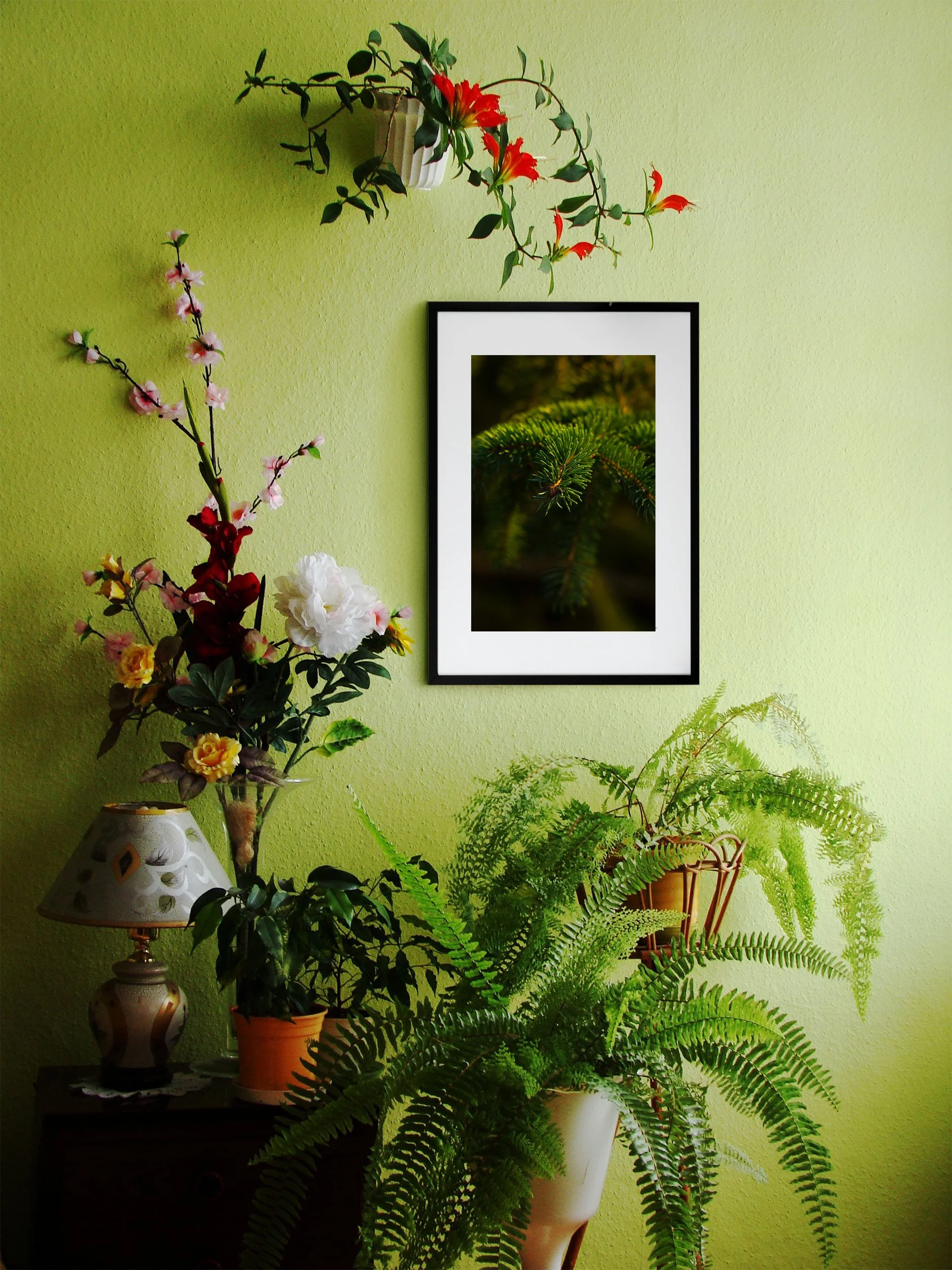 The_Evergreen_Small.jpg