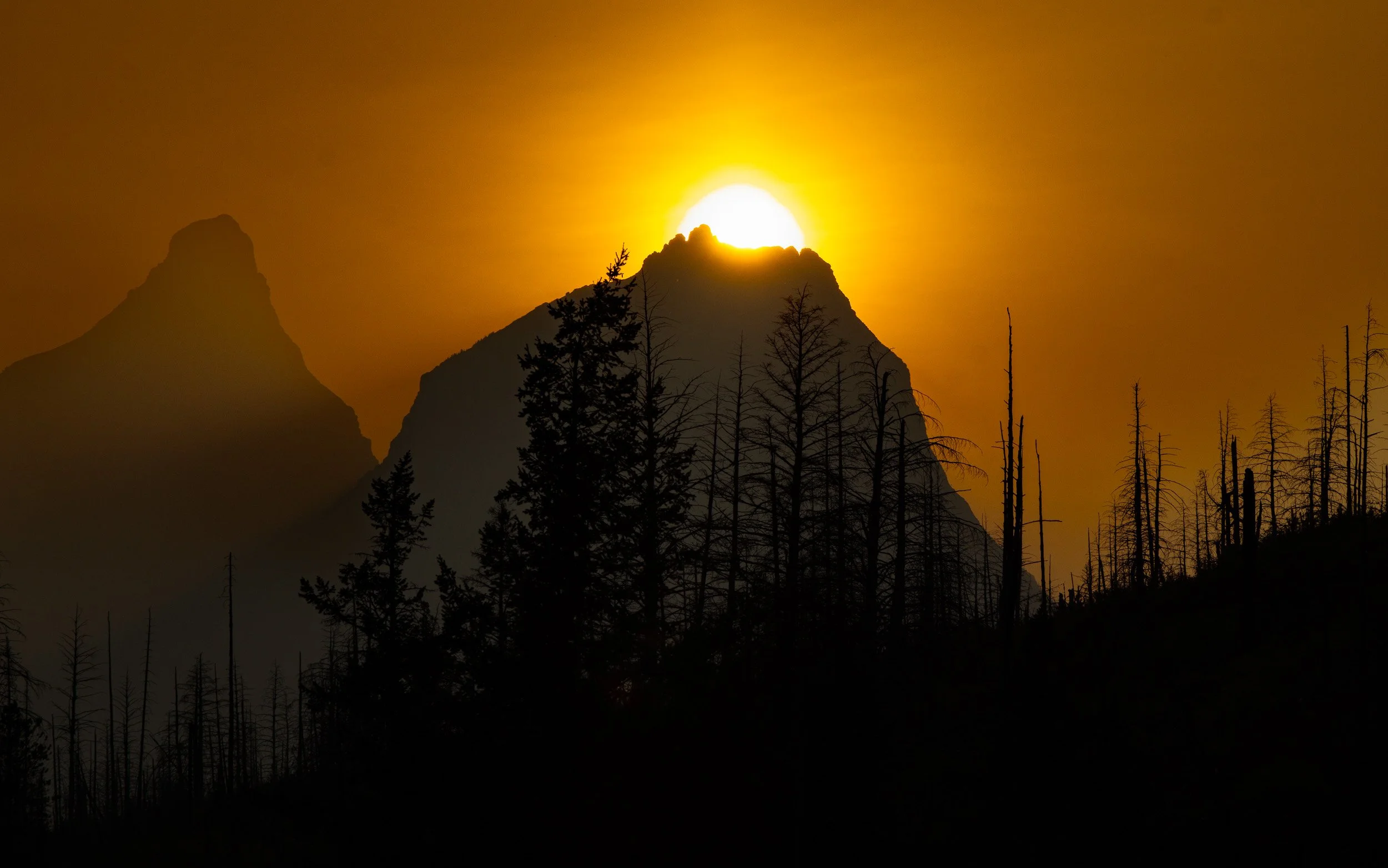 Sunrise or sunset over mountain peaks with tall, dead trees in the foreground.