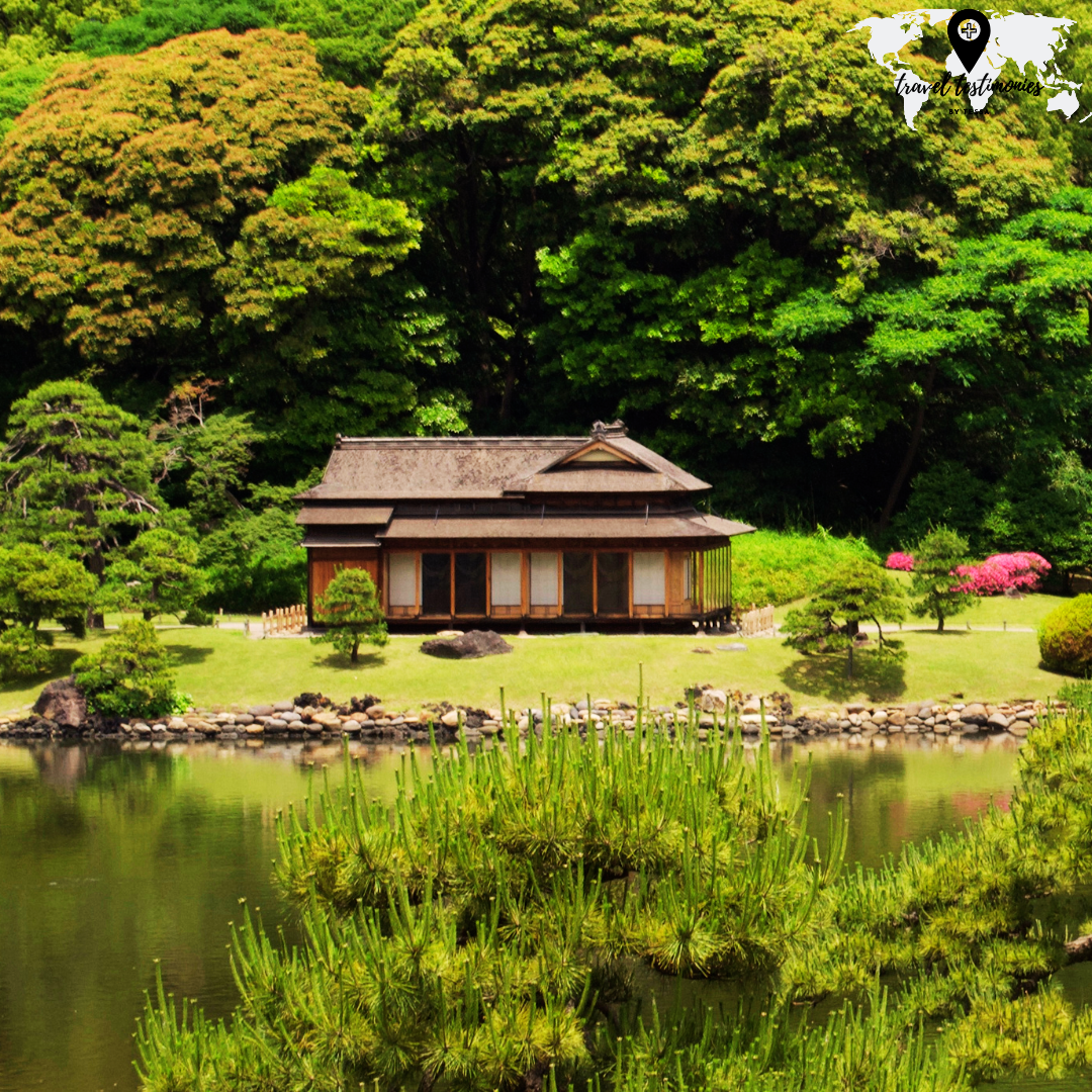 park view edit.png