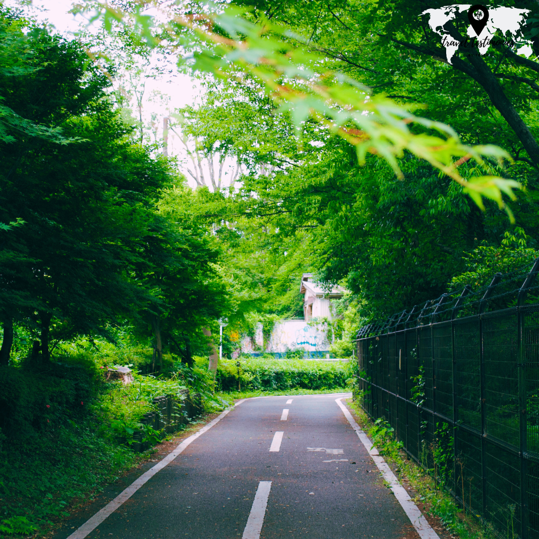 path 2 edit.png