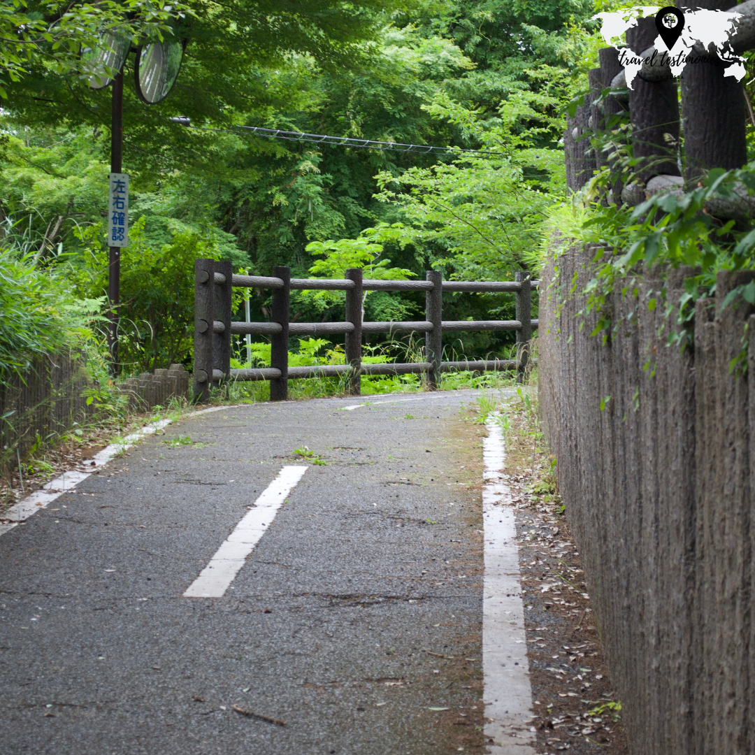 walking path.png