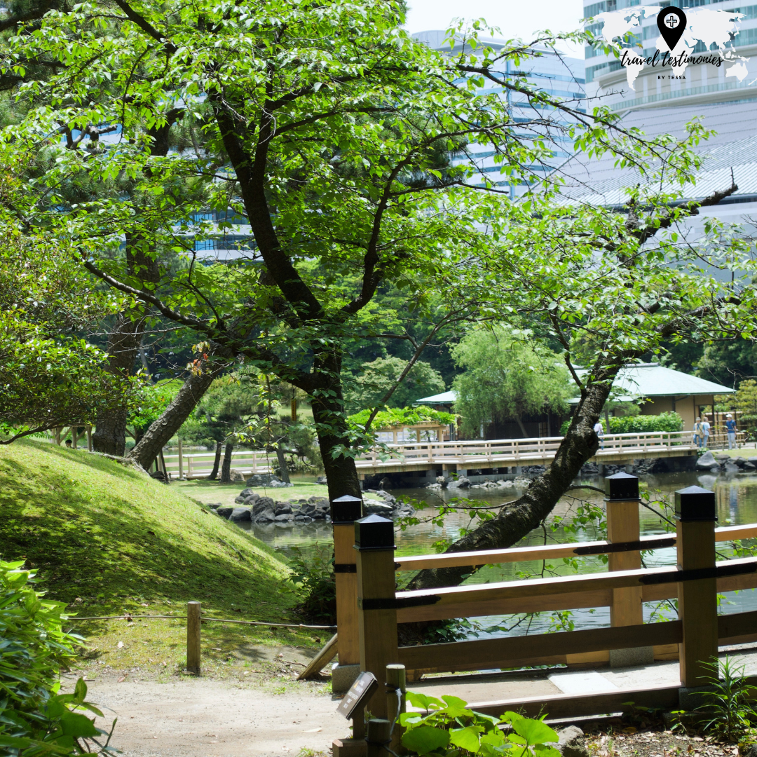nice park bridge.png