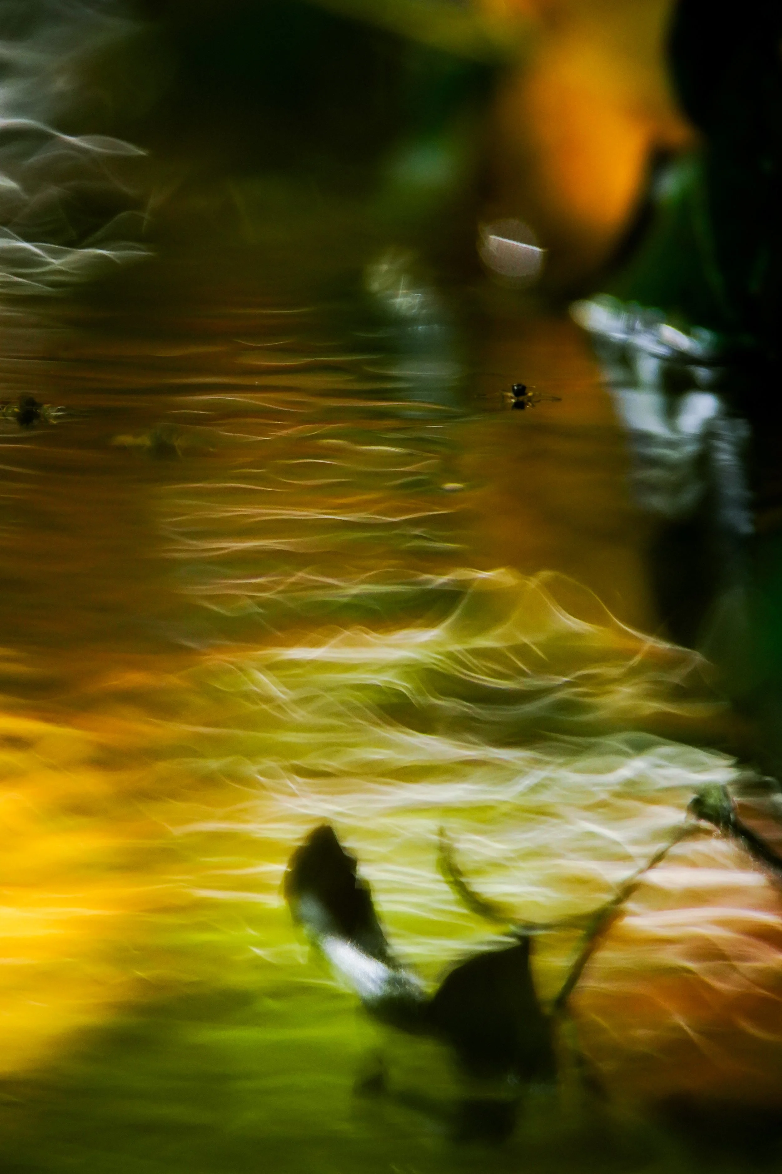 DSC02755.JPG