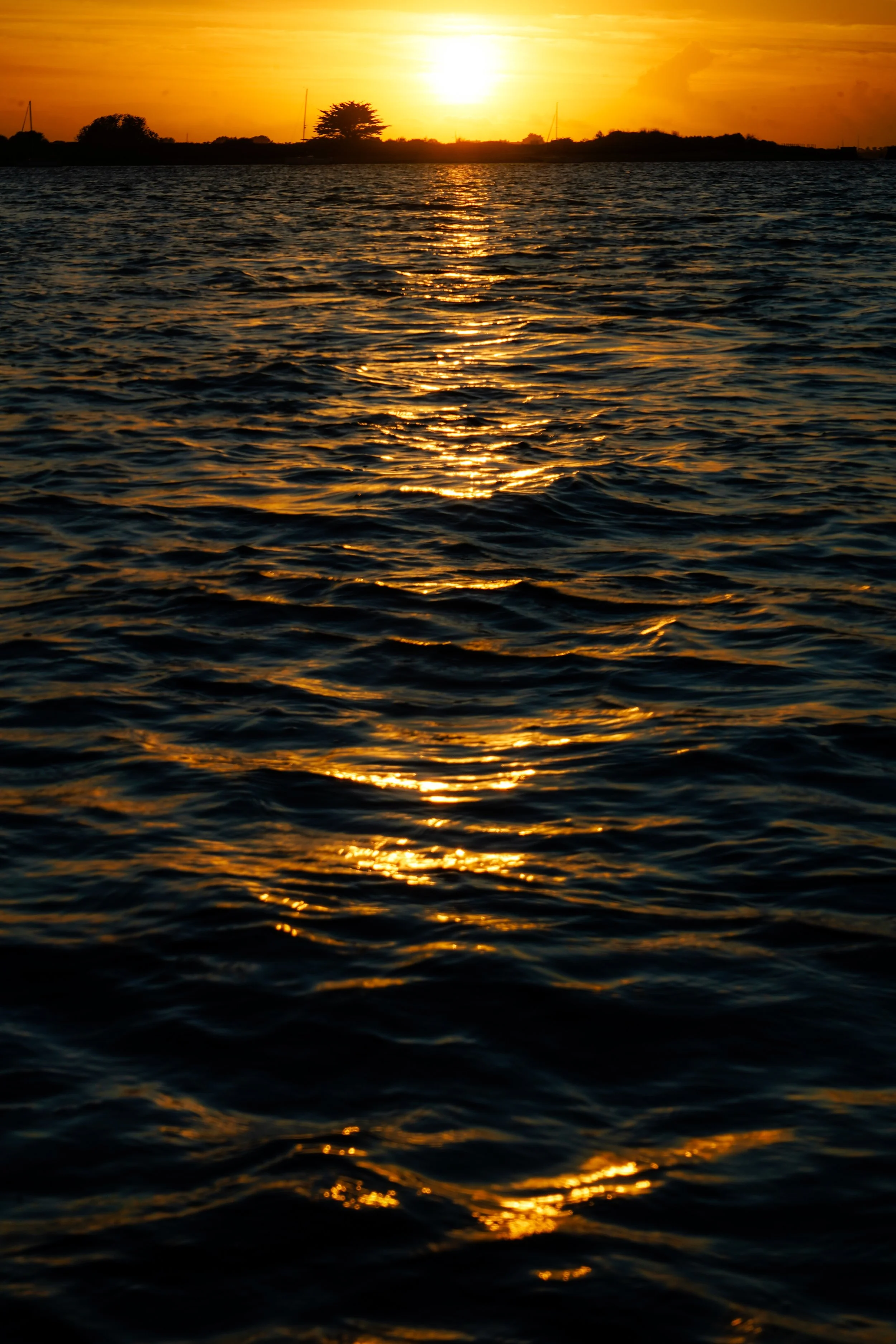 DSC02708.JPG