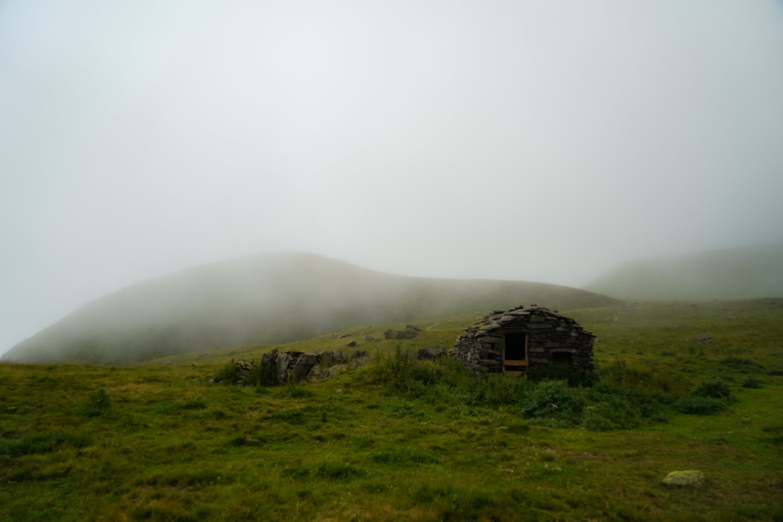 DSC01780.JPG