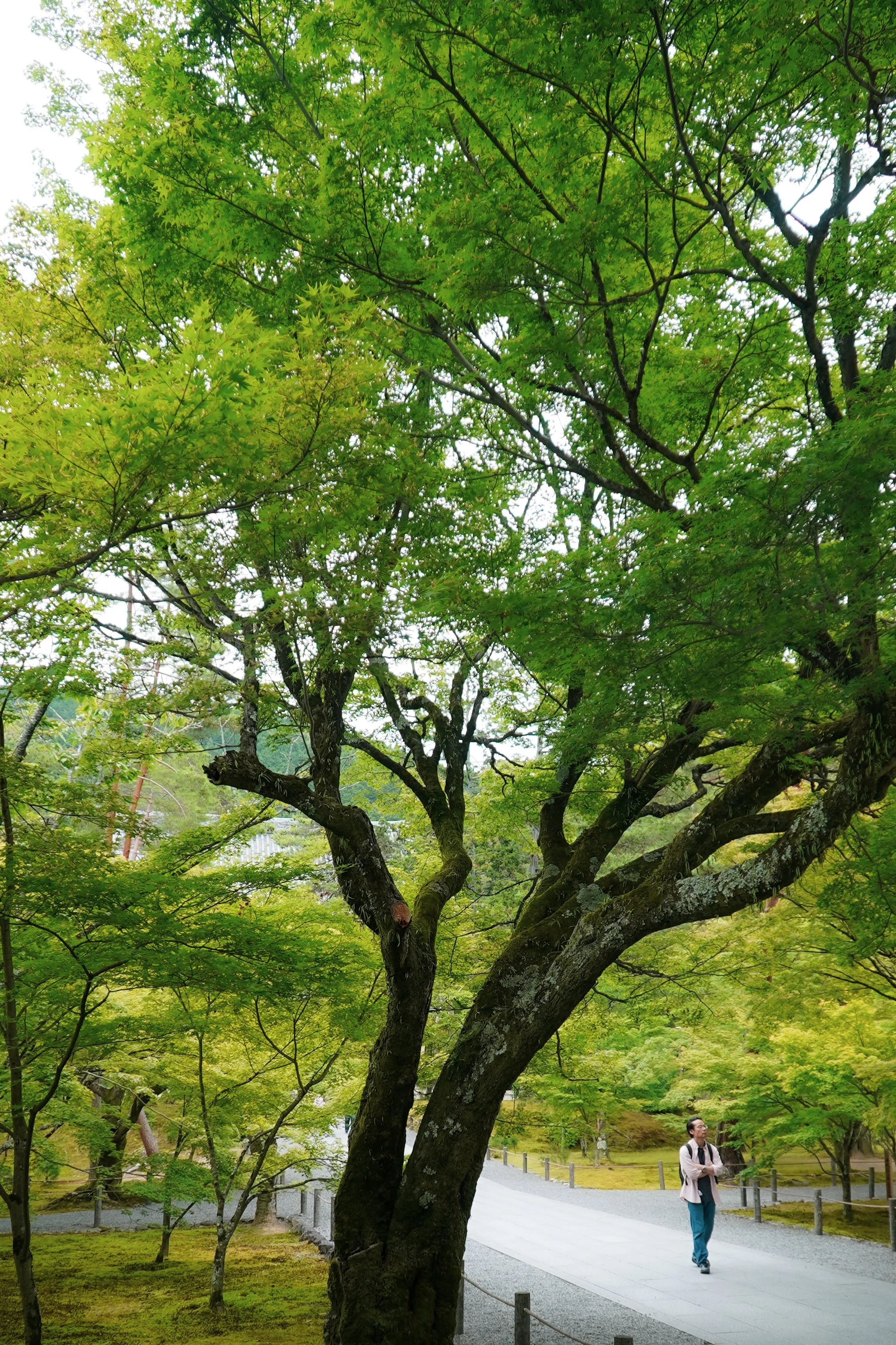 DSC01292.JPG