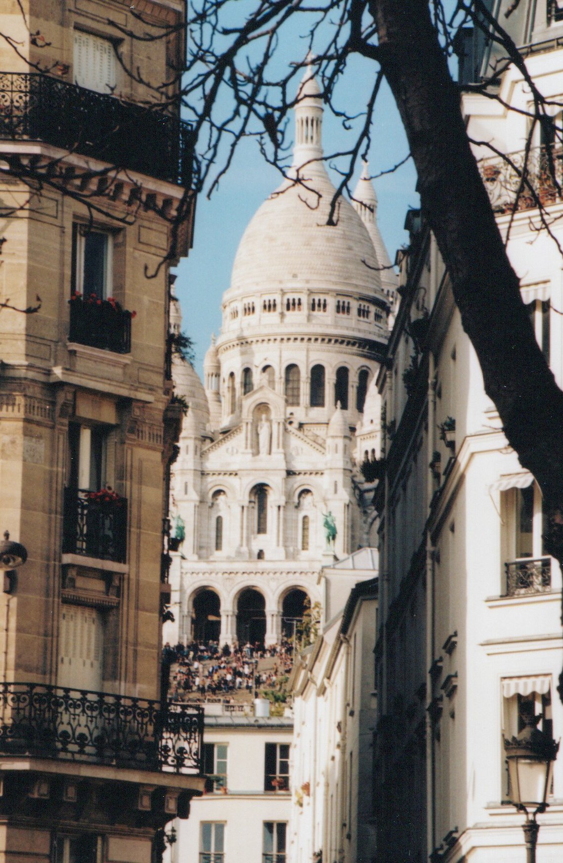 Pellicule 1. 5.JPG