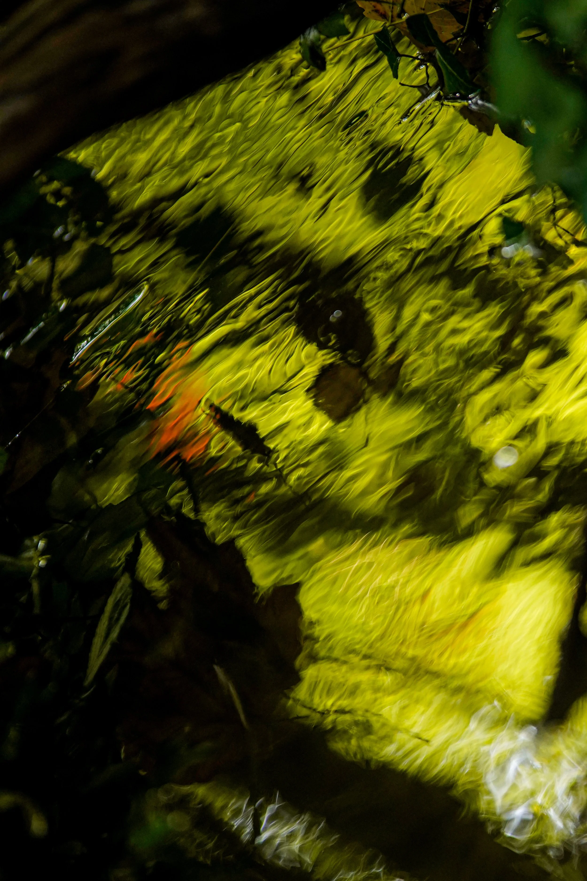 DSC02697.JPG