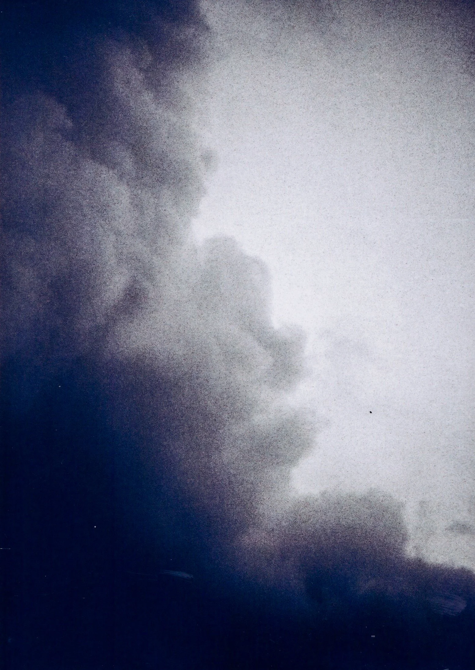 Pellicule 7. 11.JPG