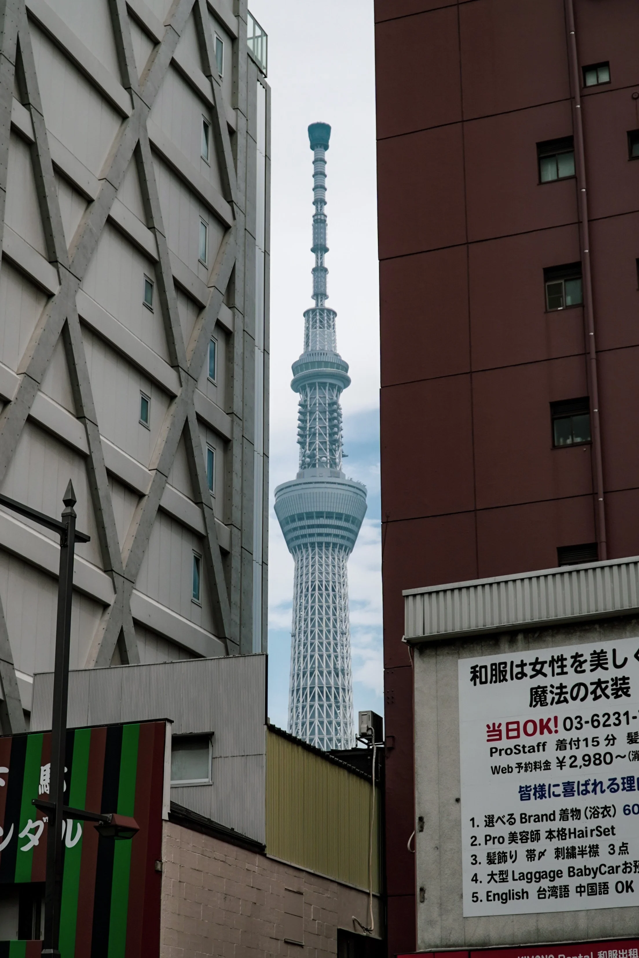 DSC01880.JPG