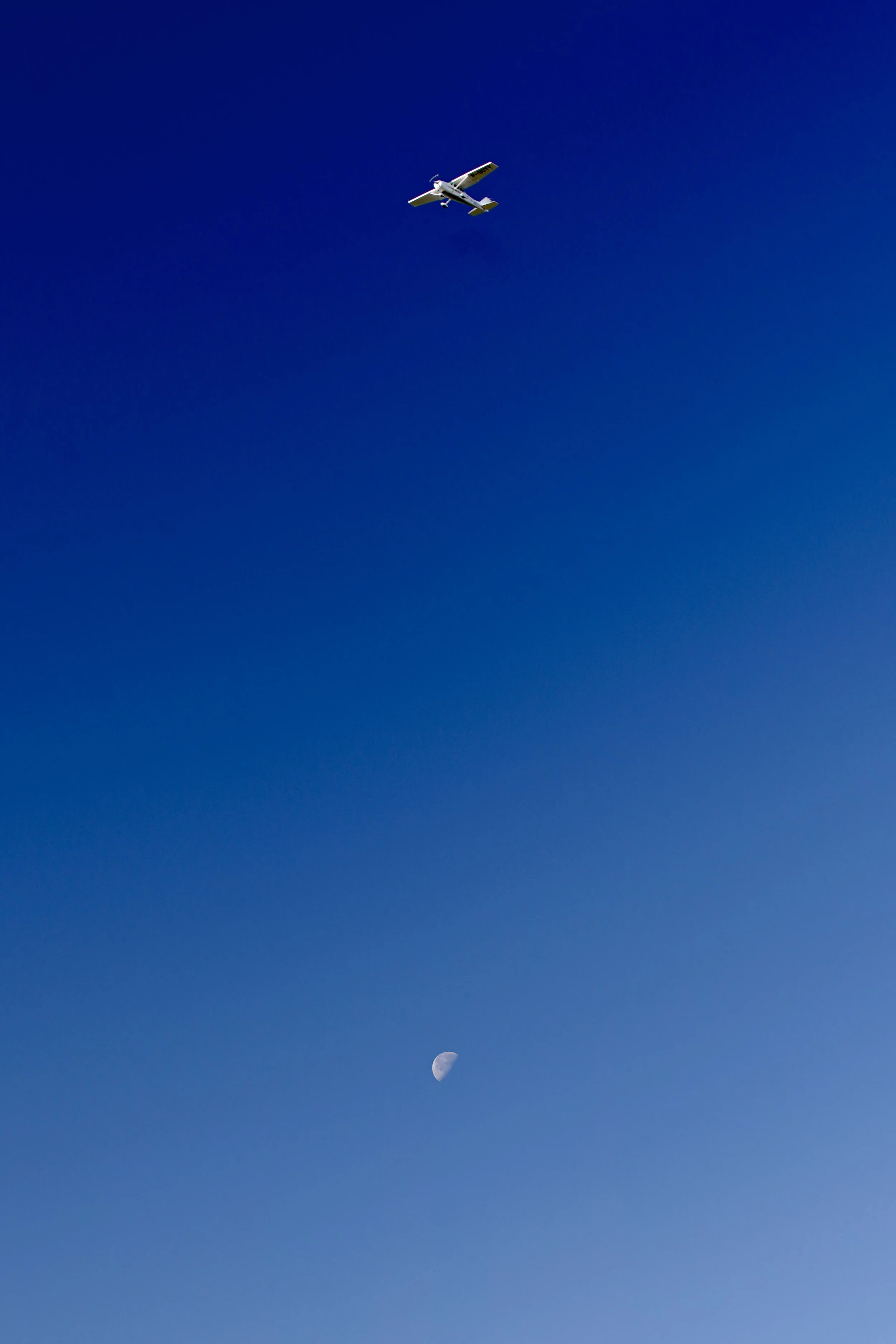 DSC02556.JPG
