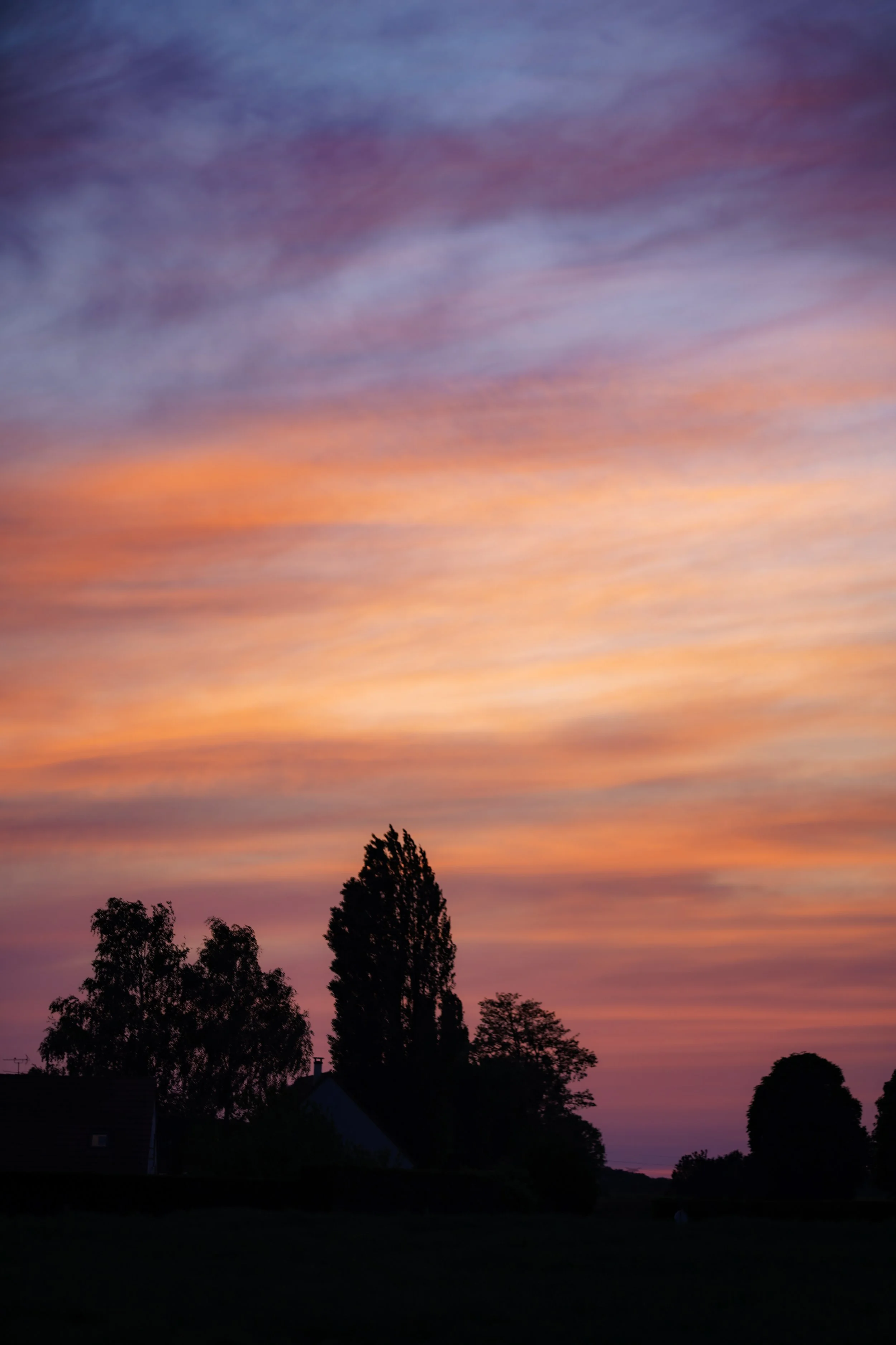 DSC05057.JPG