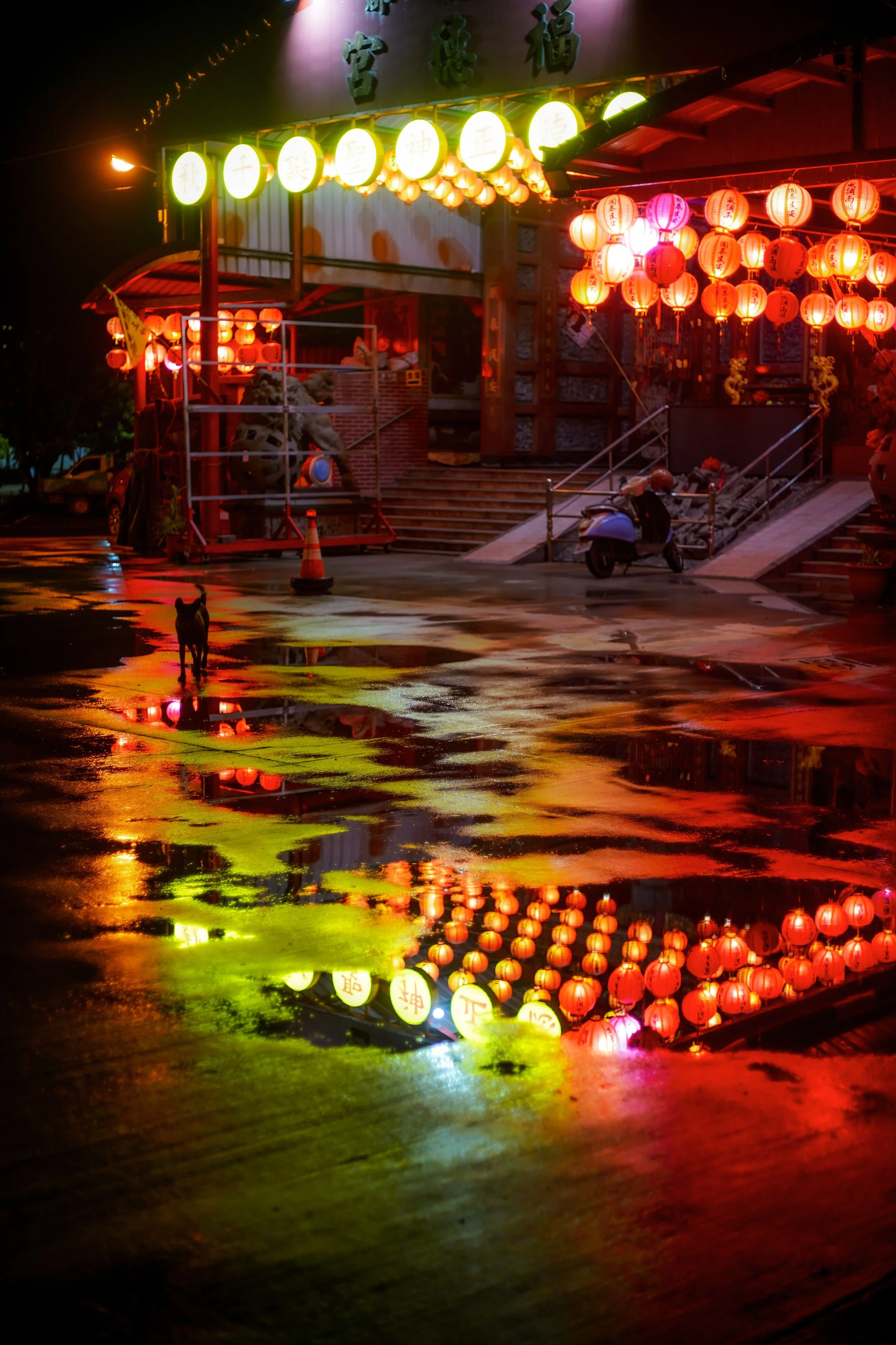 DSC08733.JPG