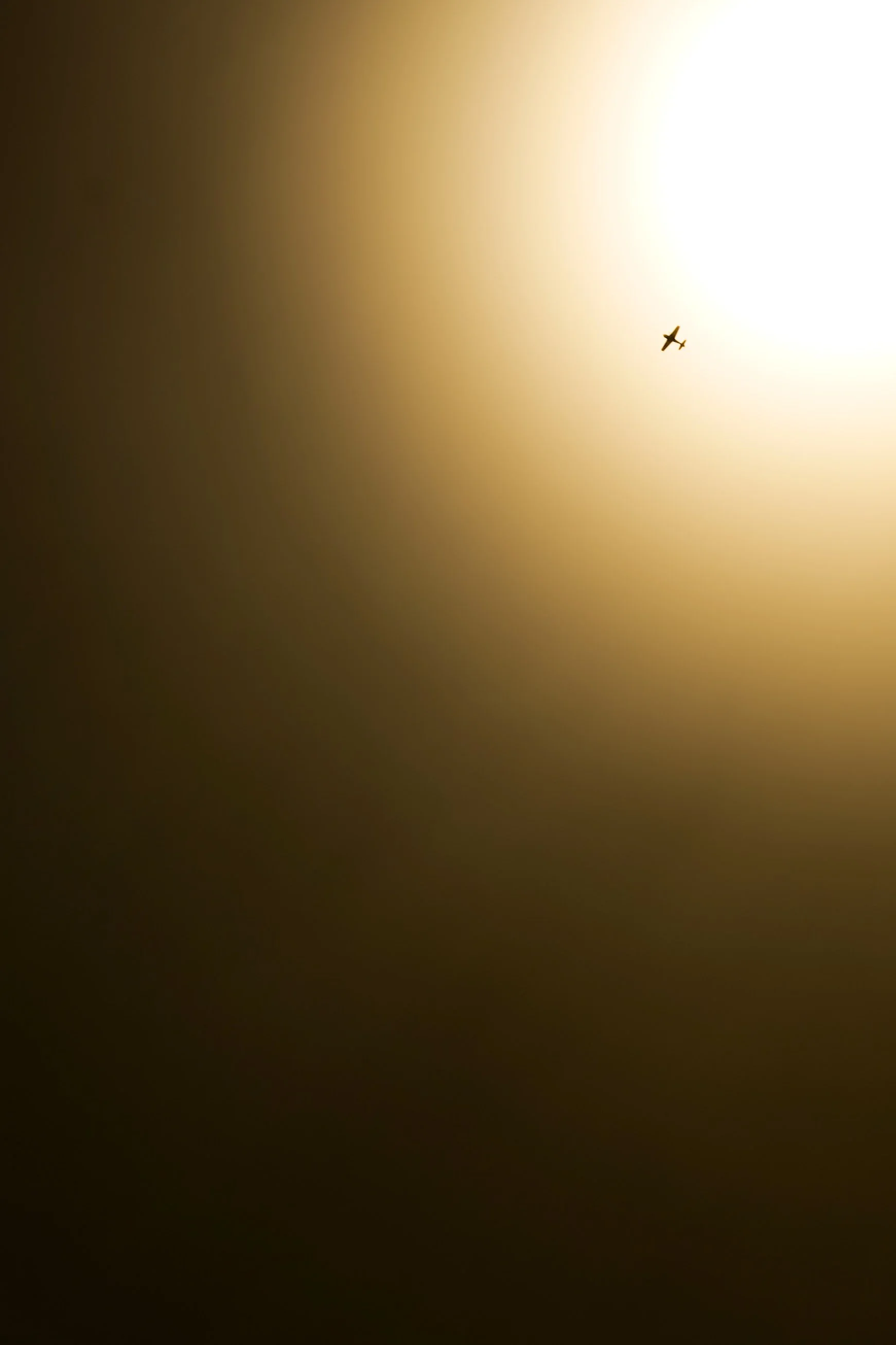 DSC00542.JPG