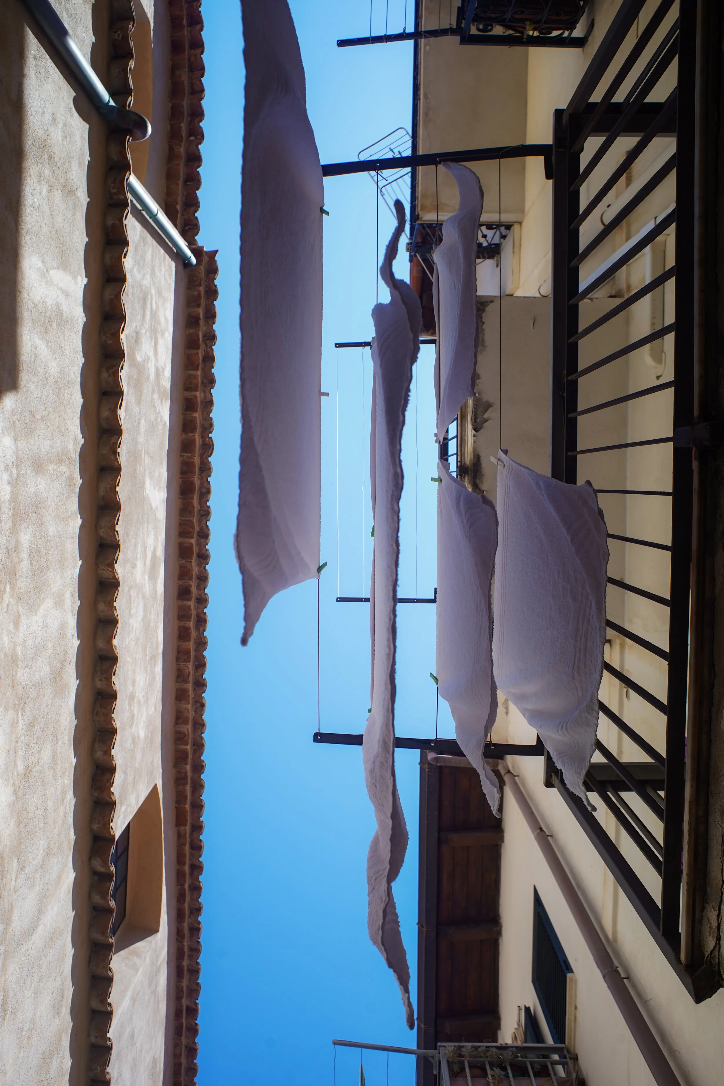 DSC00895.JPG