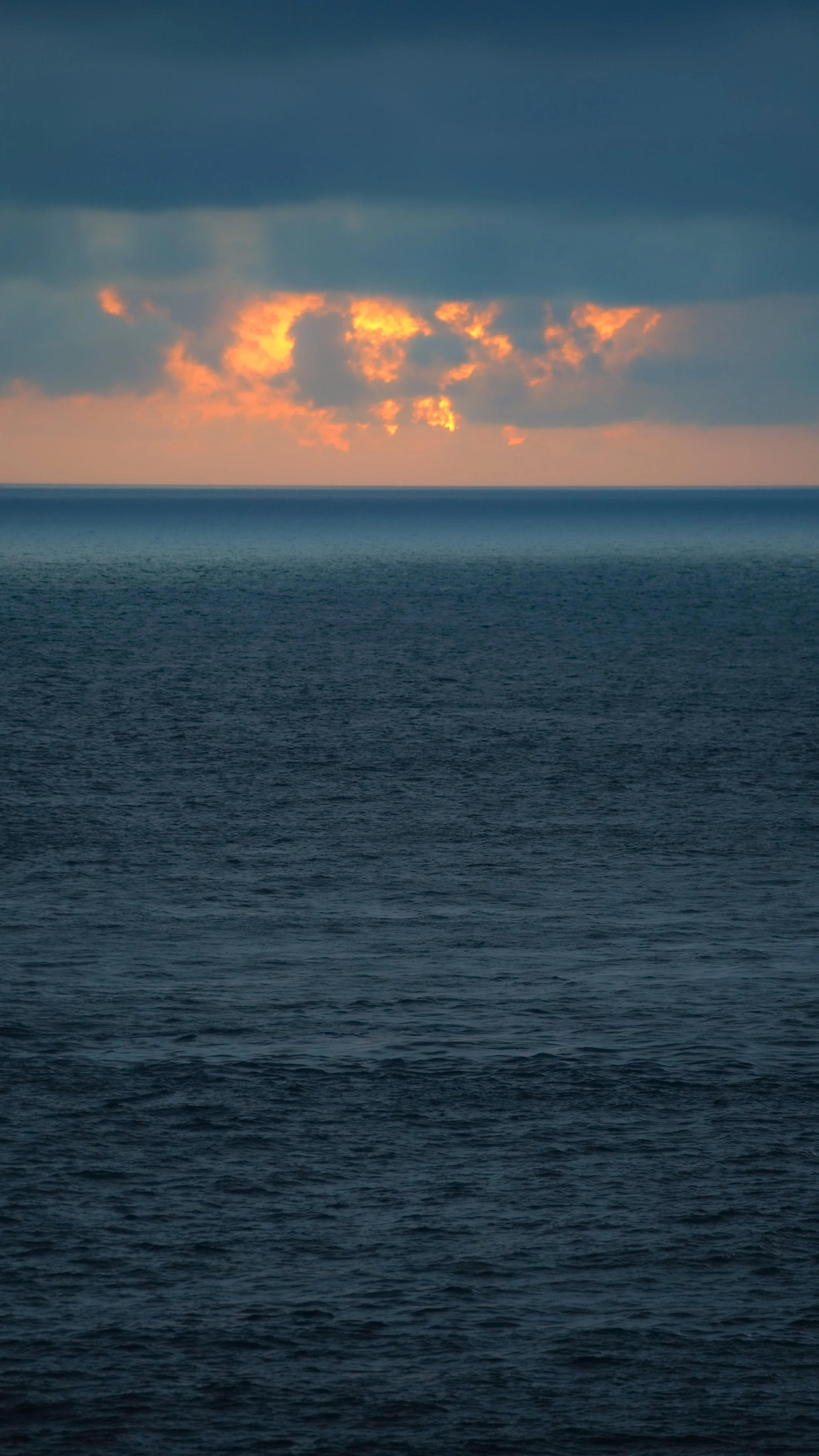 DSC08637.JPG