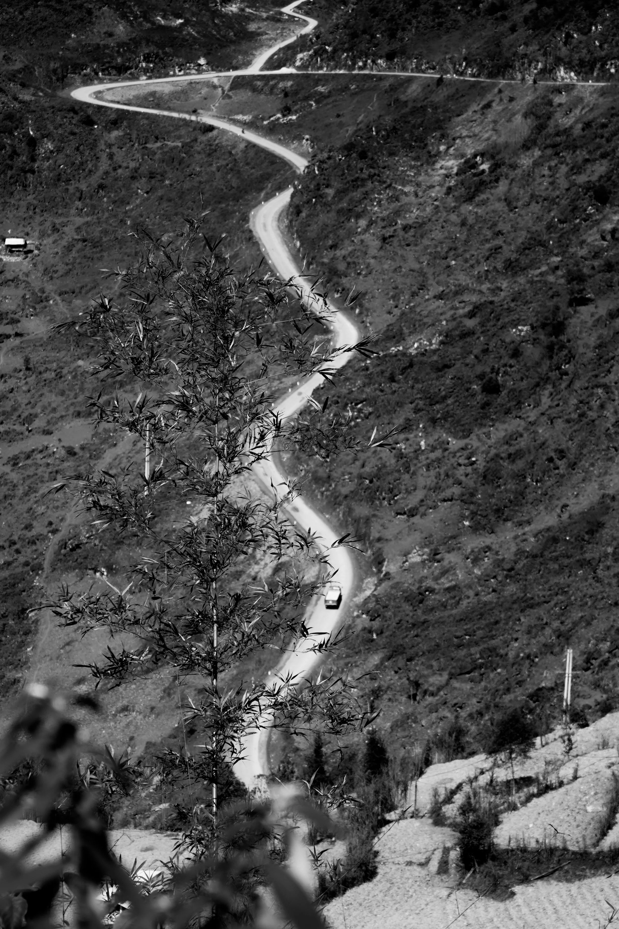 DSC09887.JPG