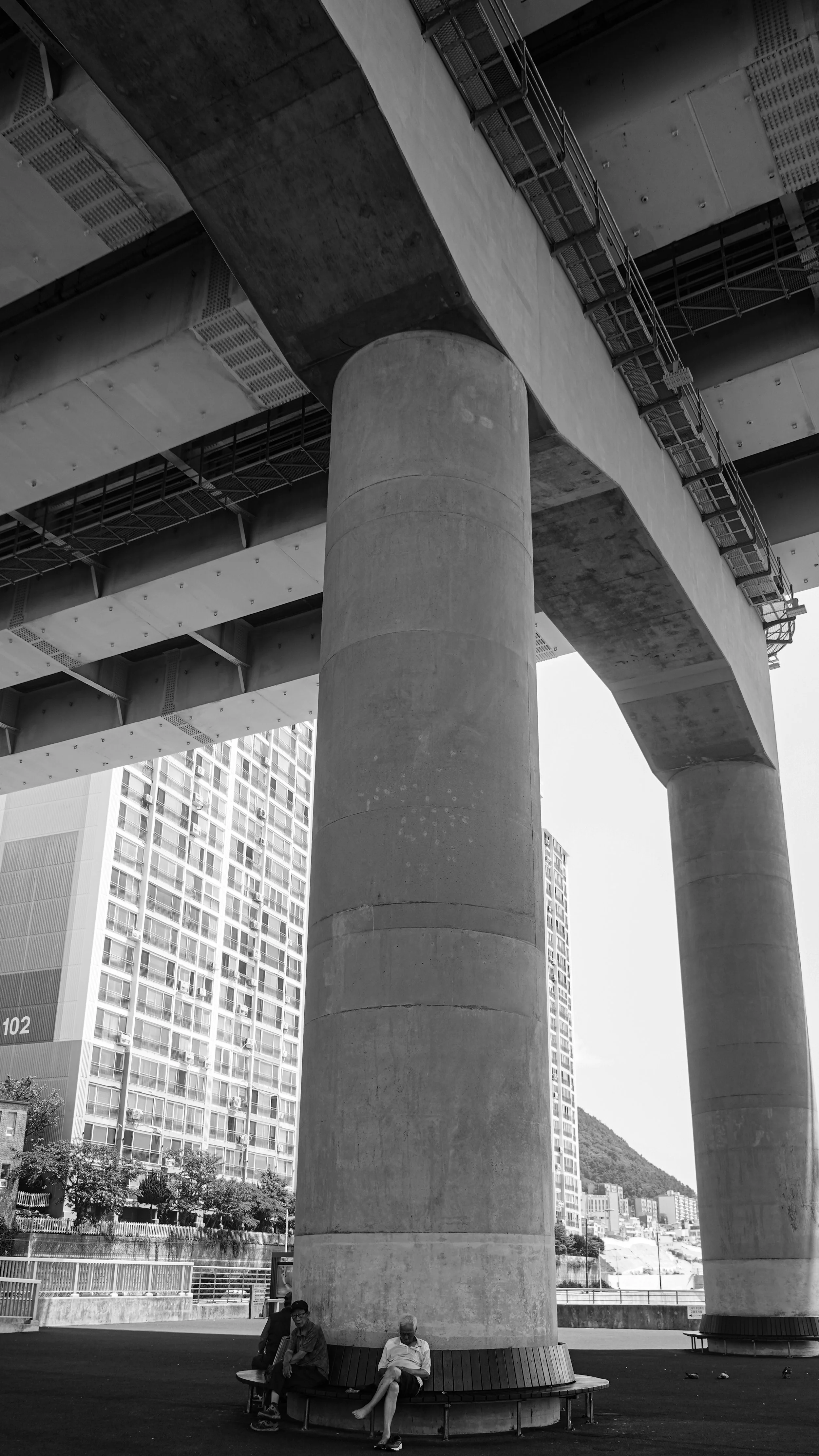 DSC06841.JPG