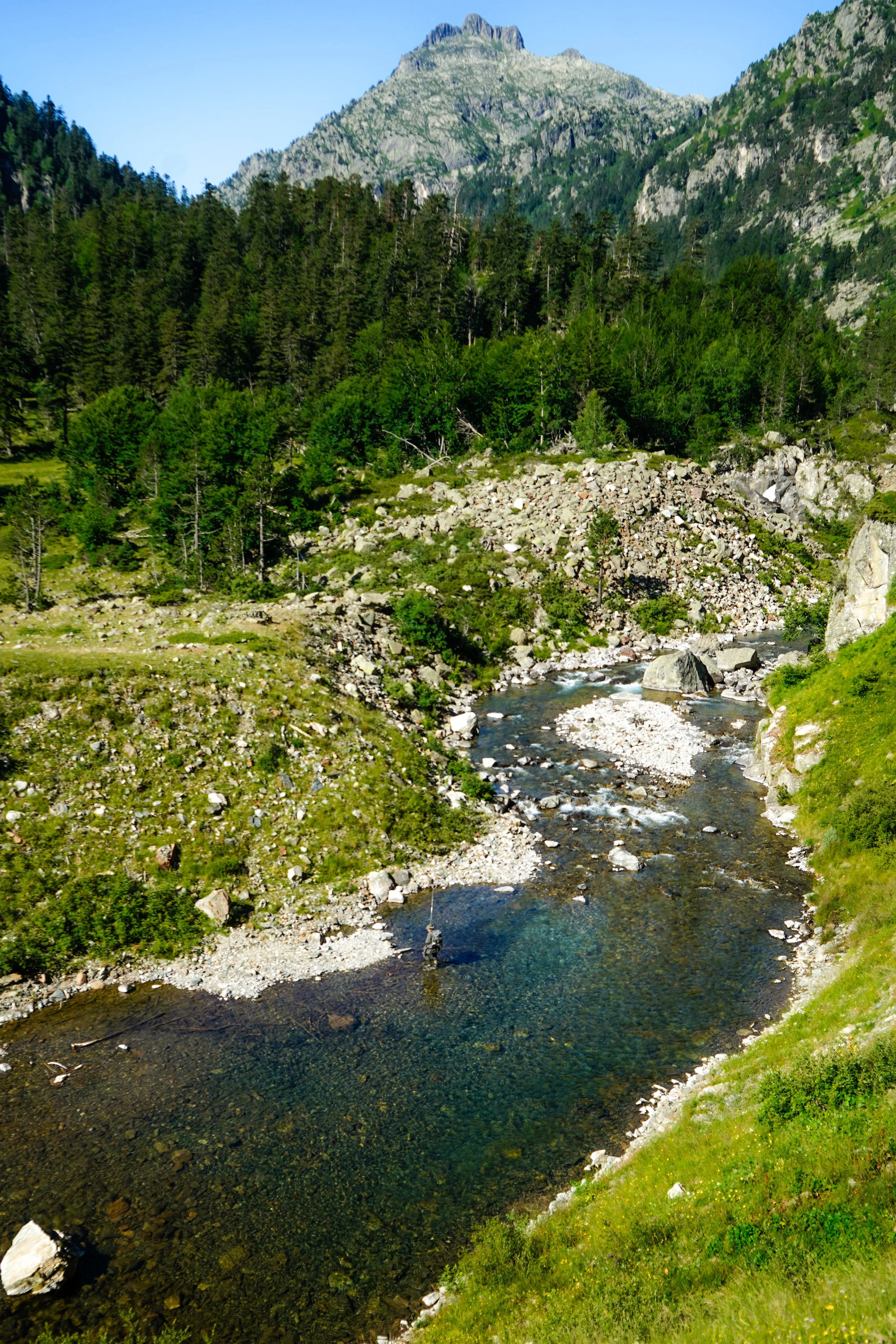 DSC01331.JPG