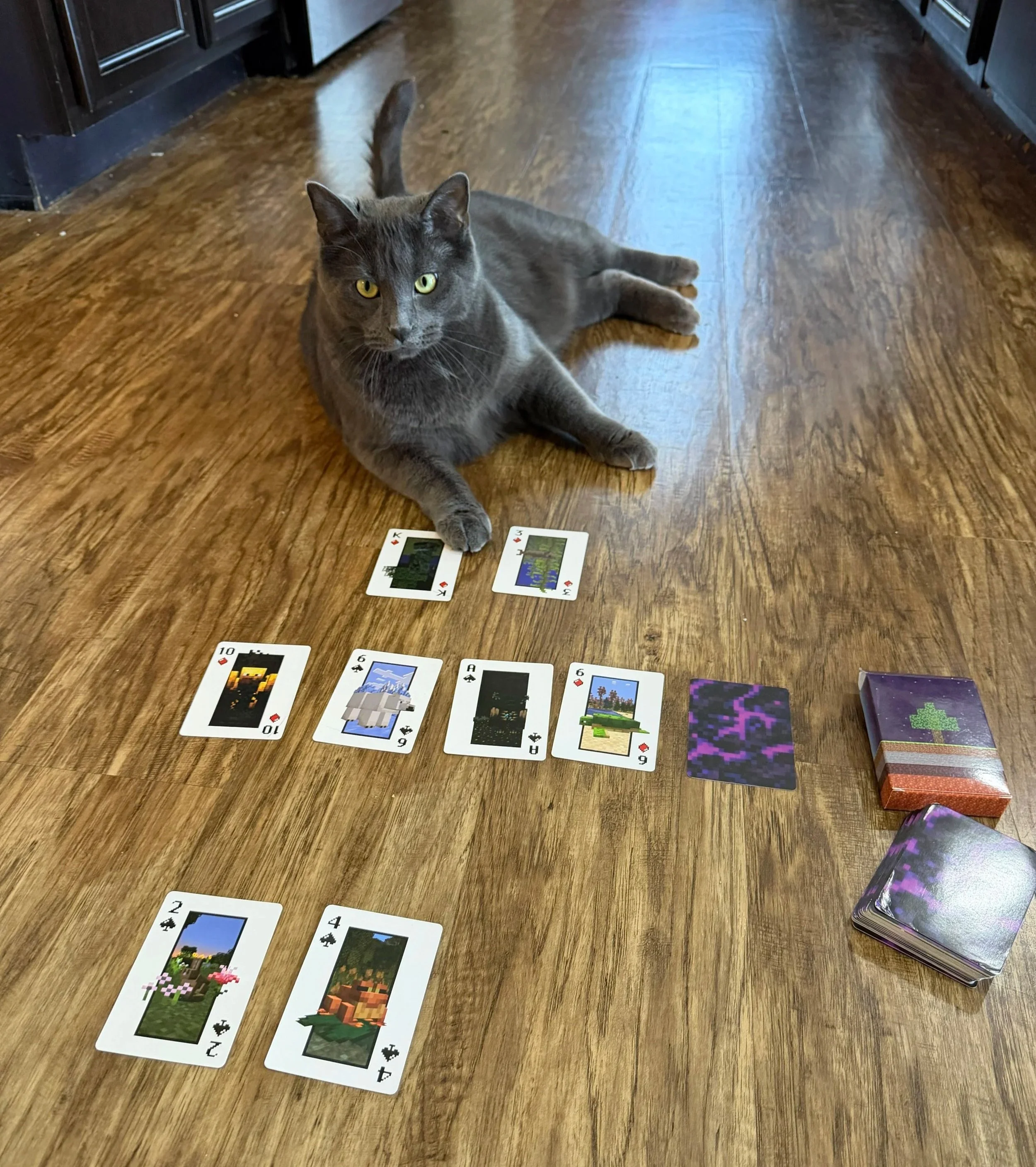 A gray cat with yellow eyes lying on a wooden floor, with several Minecraft-themed playing cards and a stack of similar cards nearby.