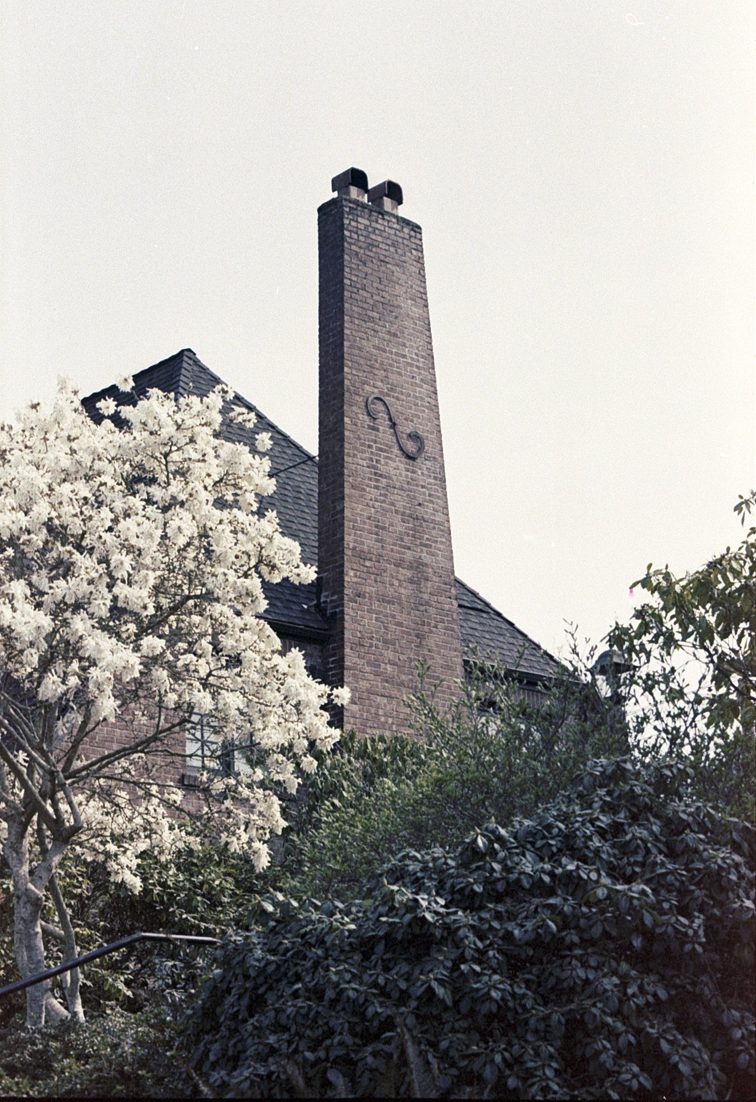 ilfocolor film photo