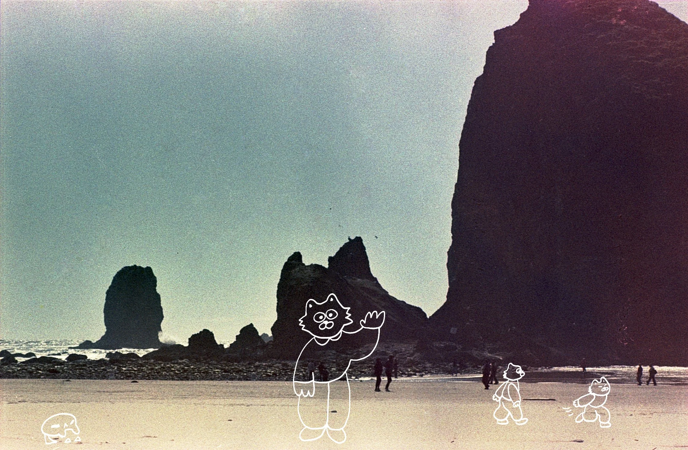 beach photo illustration