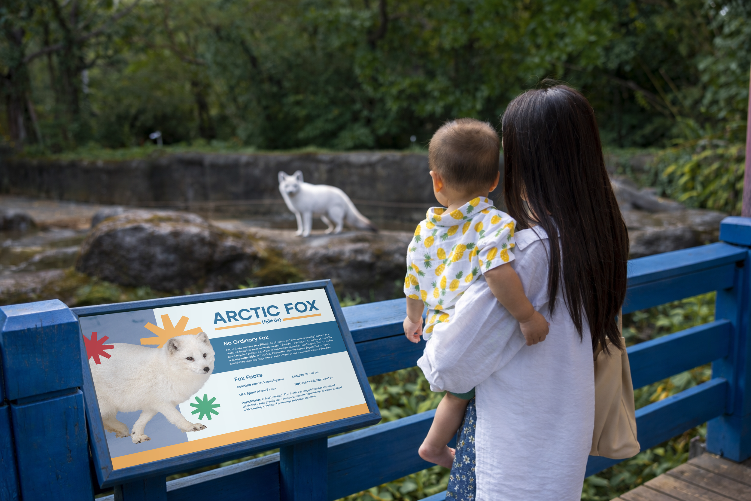 Family viewing Arctic fox at zoo.png