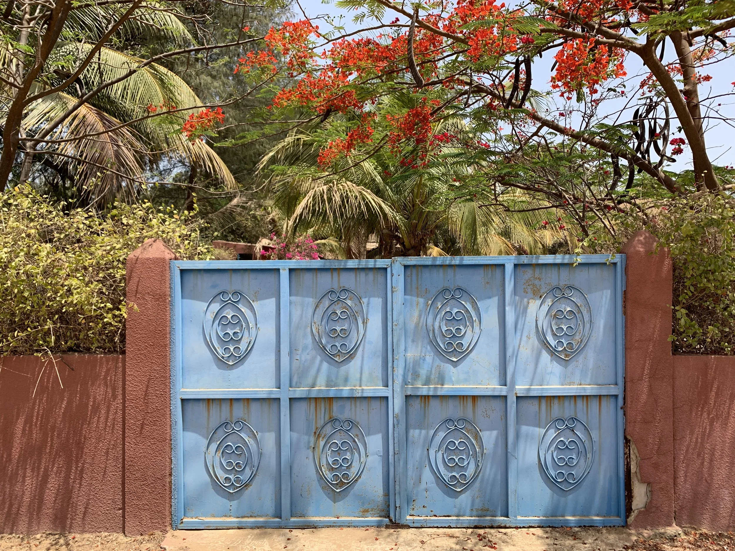 A blue metal gate with ornamental designs, set in a red stucco wall, with lush green foliage and bright red flowers in the background.
