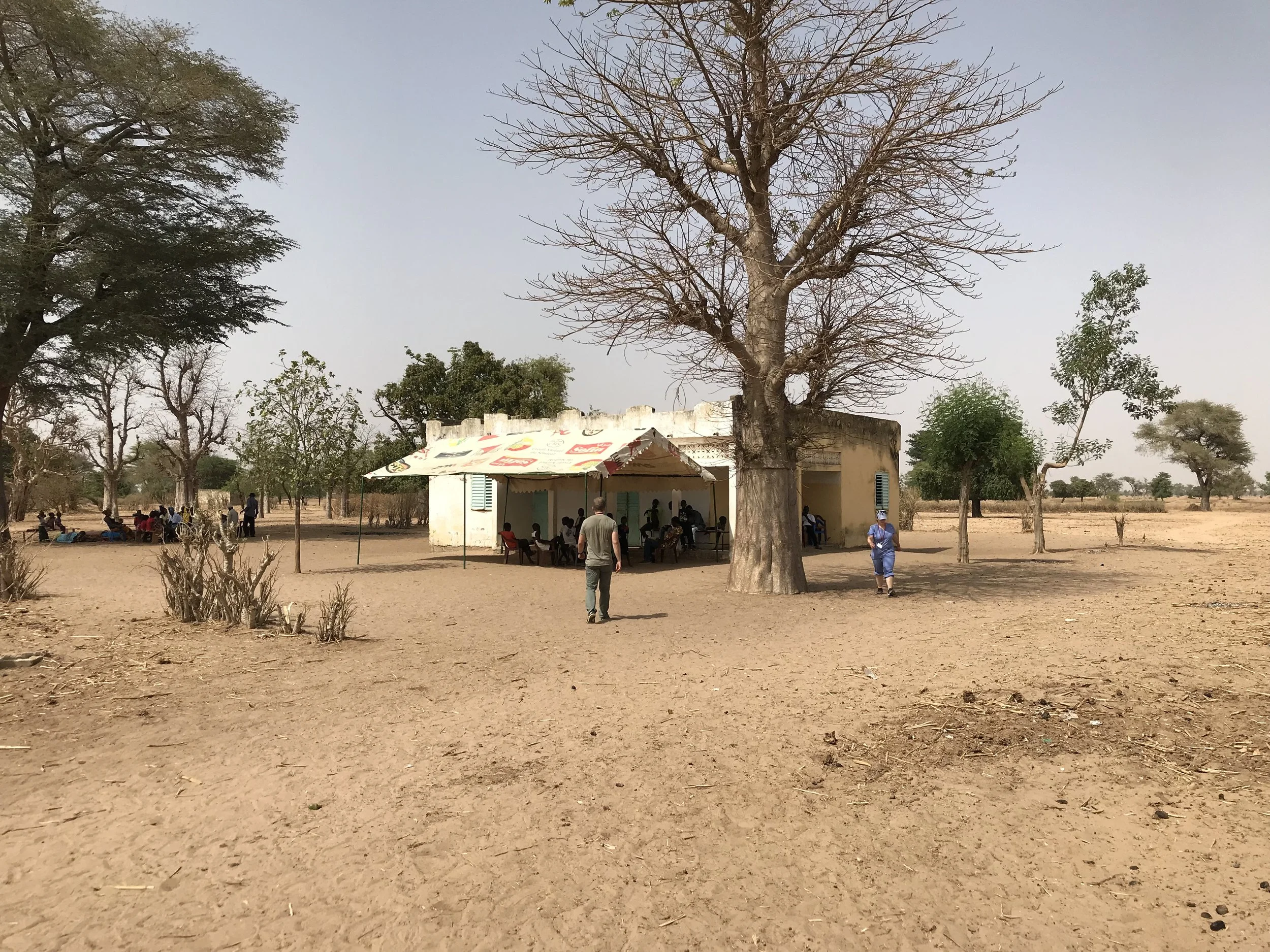 A rural scene with a large, leafless tree, smaller trees, and a small building with People gathered under a canopy. The ground is dry and dusty, with a clear sky overhead.