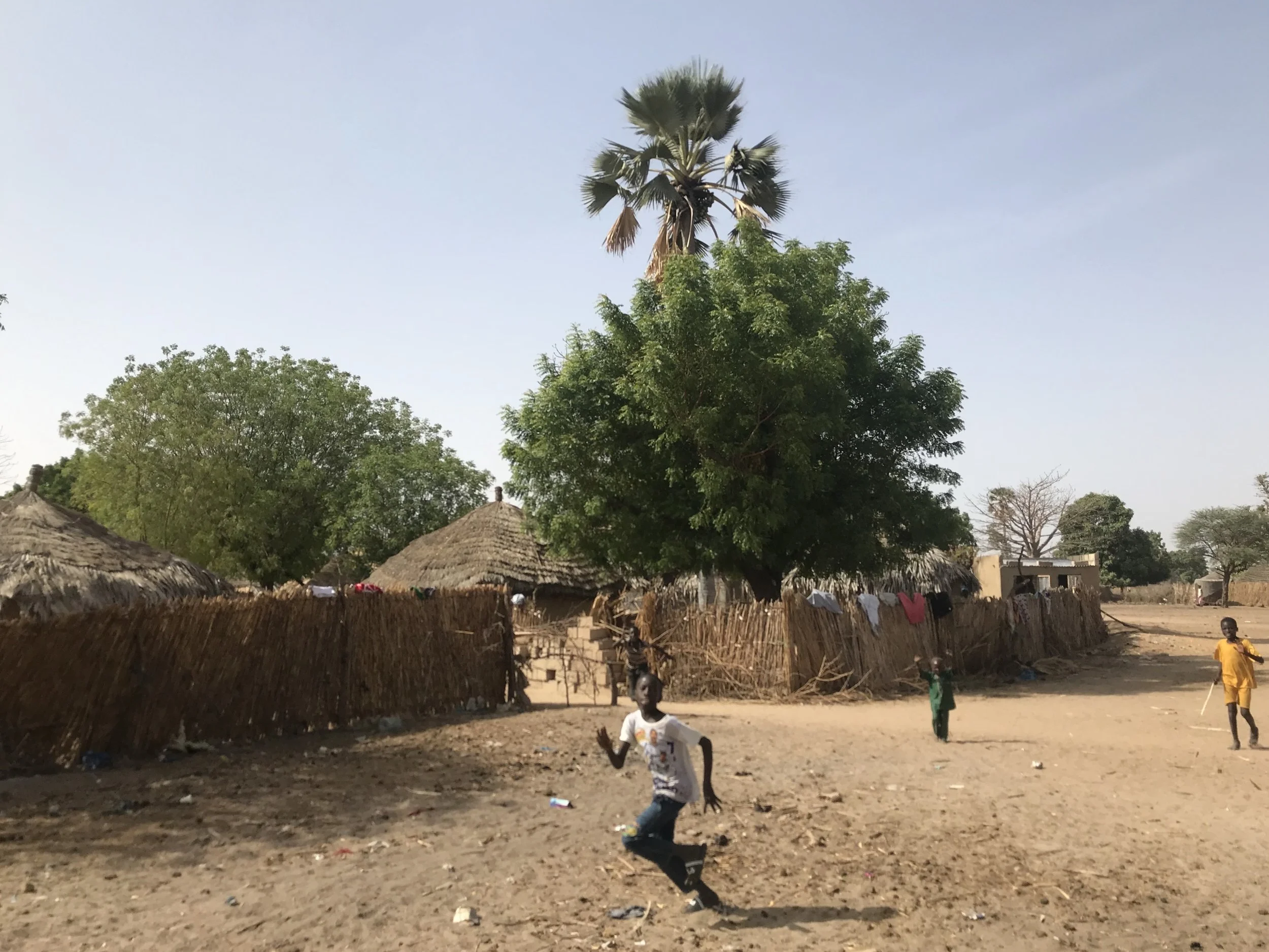 Children playing outside in a rural village with thatched roof huts, tall trees, and a clear sky in the background.