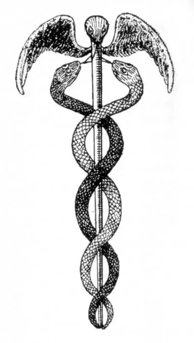 Drawing of two snakes intertwined with a staff and wings at the top.