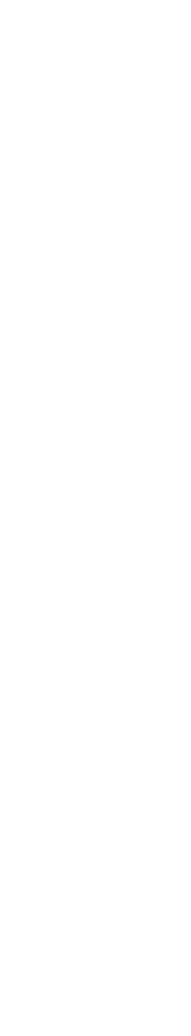 decorative star pattern