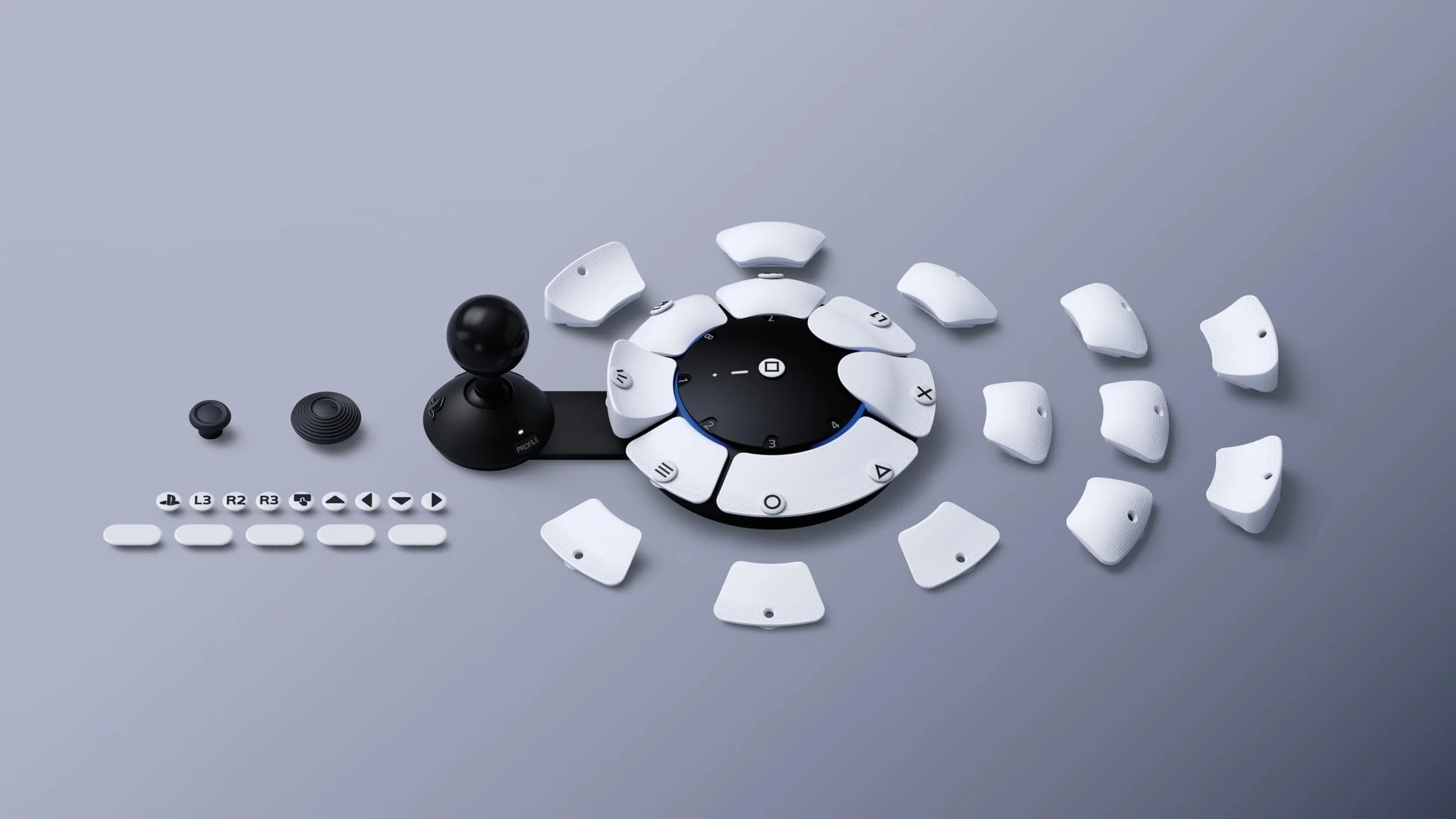 PlayStation accessibility controller