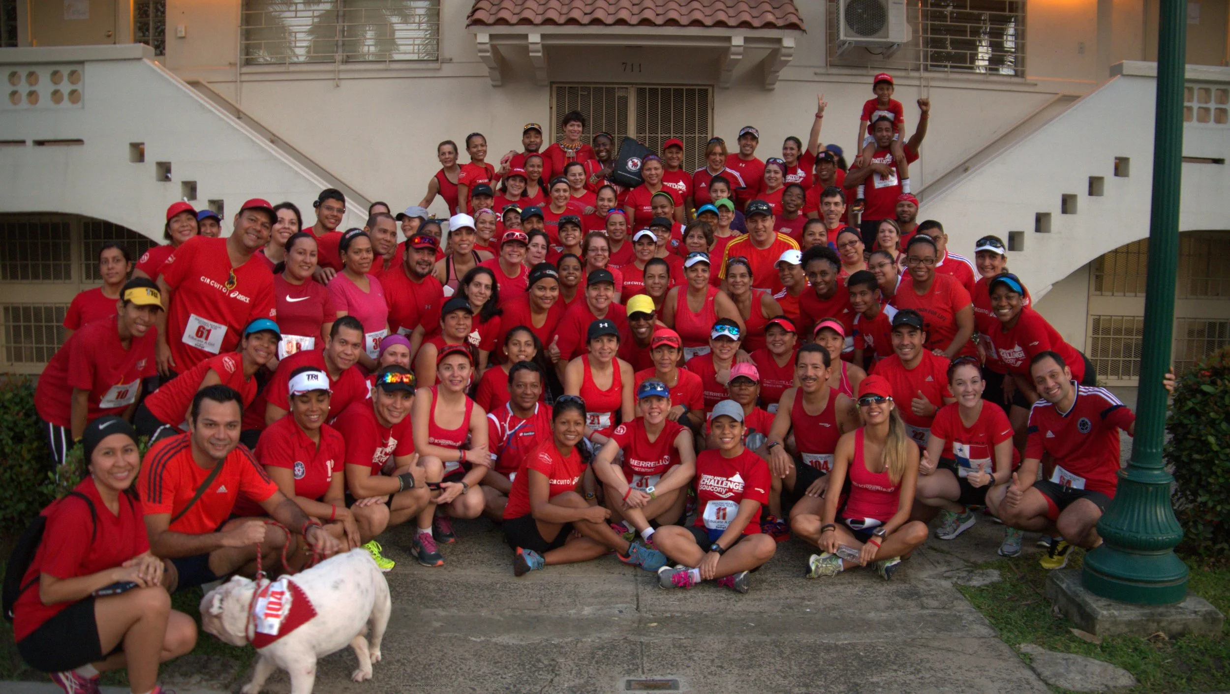 P1130603.jpg