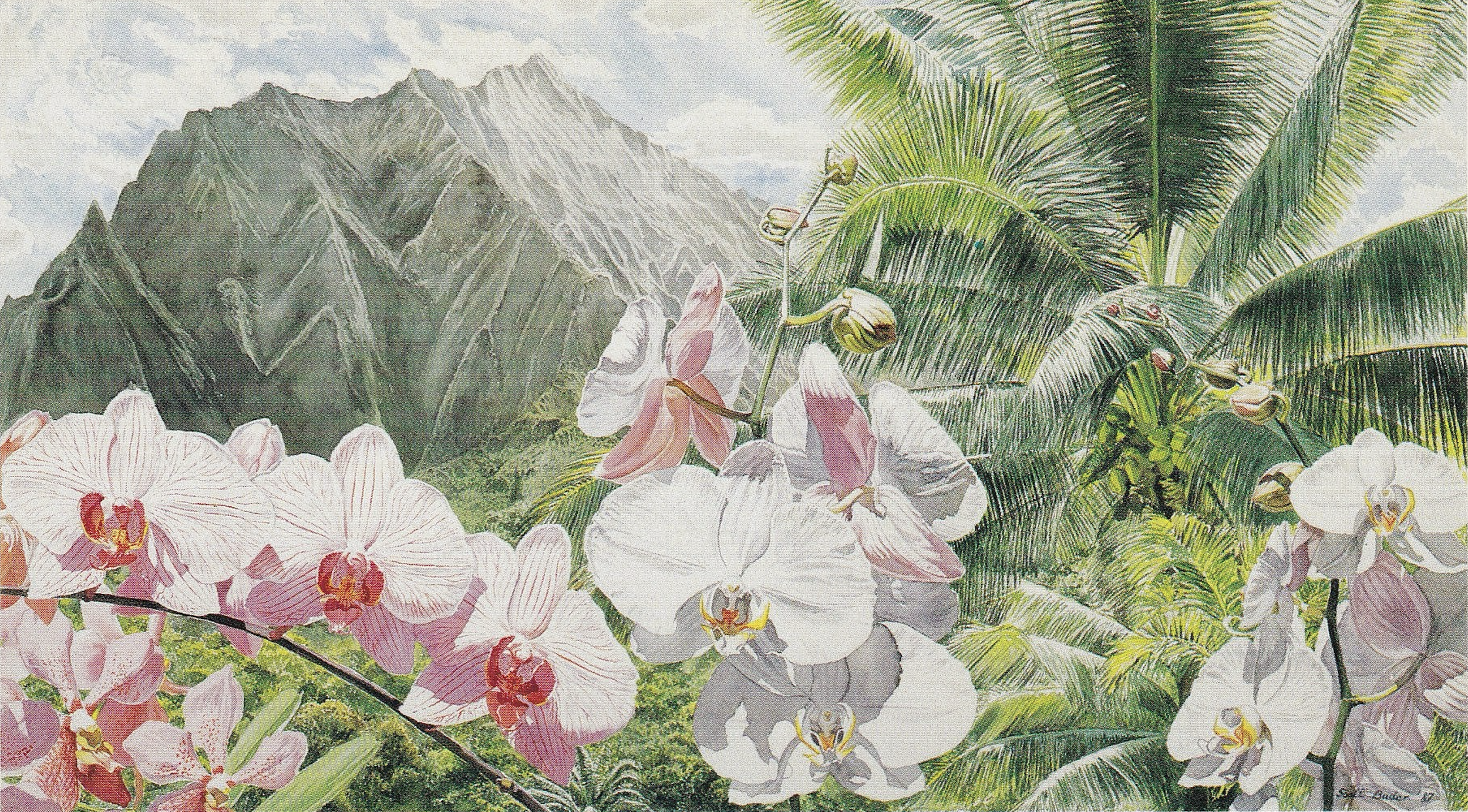 Haiku Orchid Garden 1990