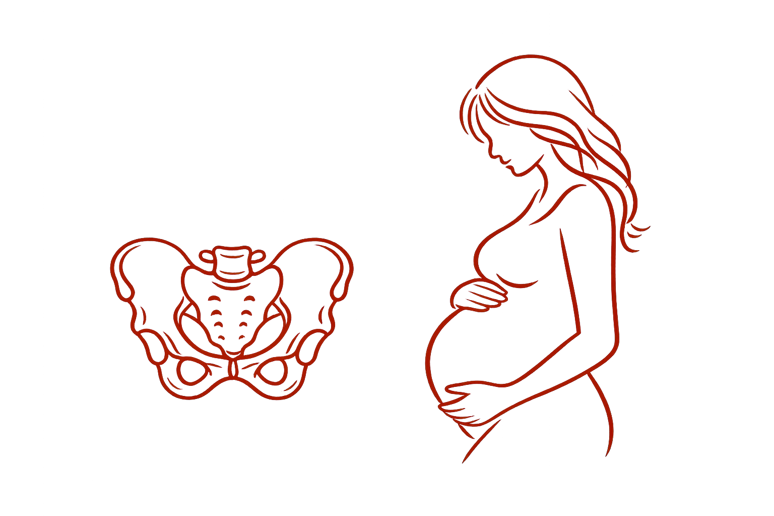 Outline drawing of a pregnant woman with long hair, standing with one hand on her belly, alongside an anatomical illustration of a female pelvis and reproductive organs in red lines.