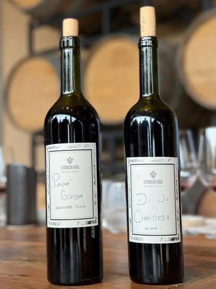 Un pedacito de Mendoza en Buenos Aires — Estancia Vigil