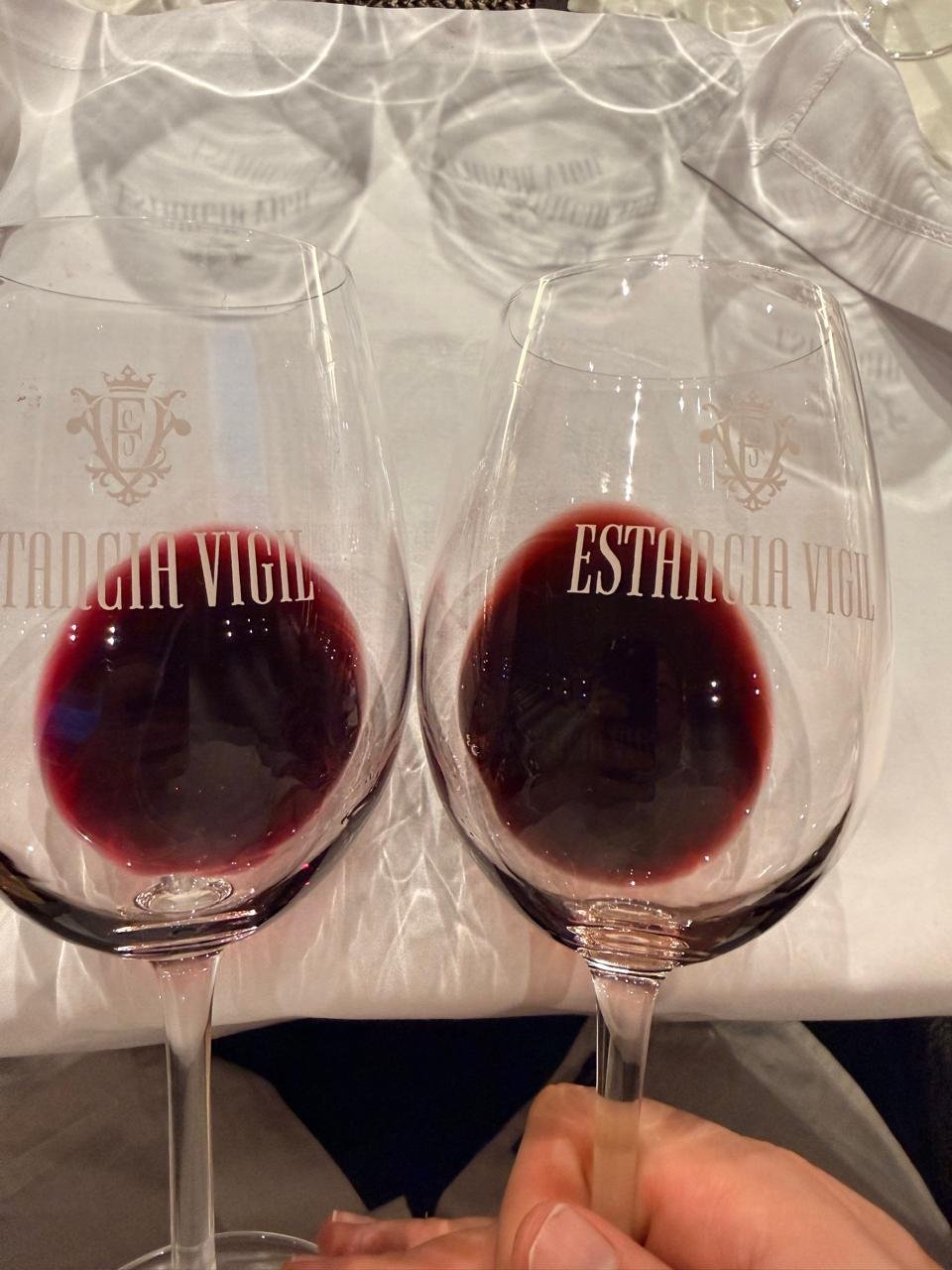 Cata Vertical 2010-2023 Gran Enemigo Gualtallary