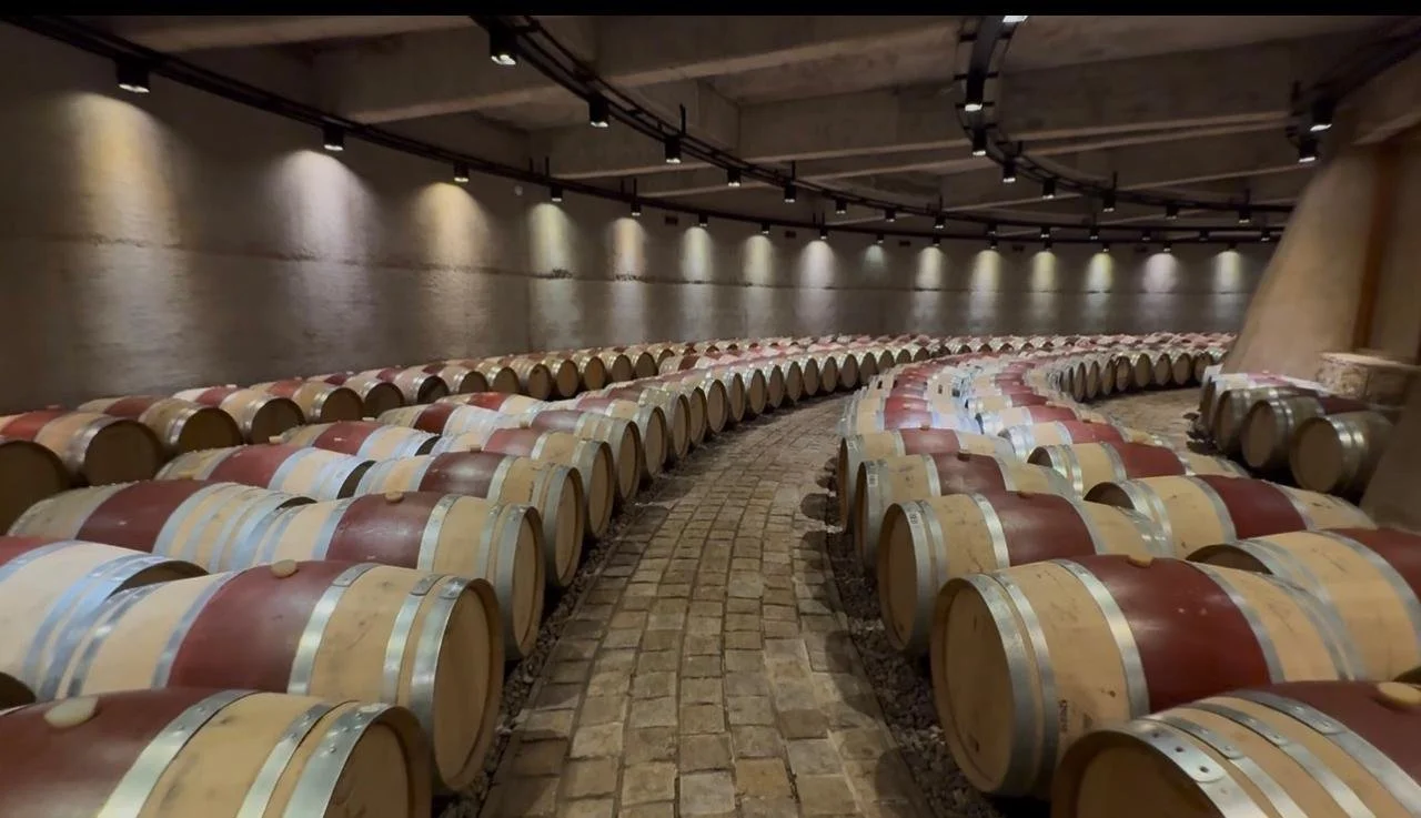 barricas de vino en una bodega bajo iluminación