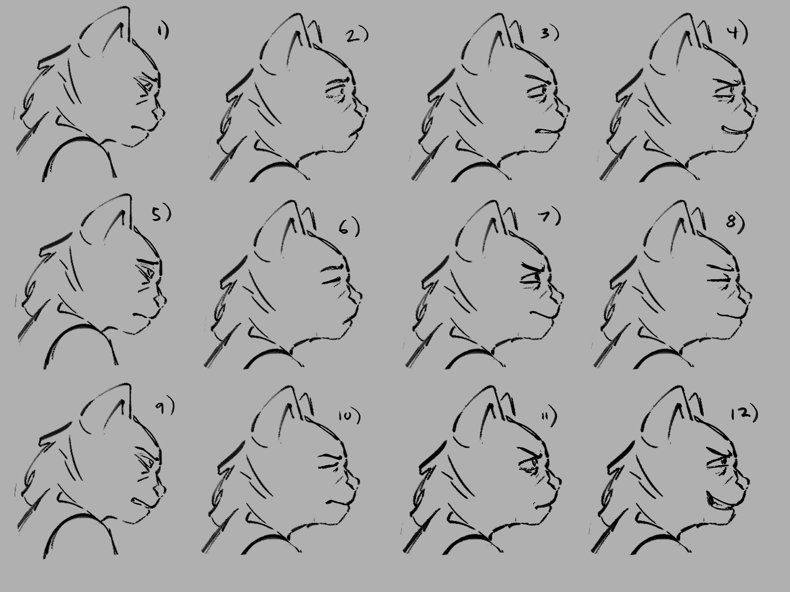 expression sheet.png