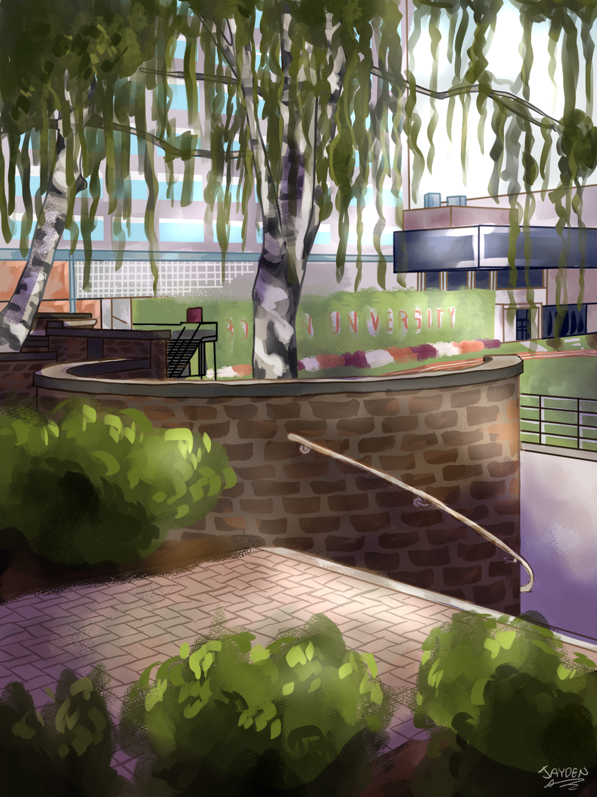 BU field.png